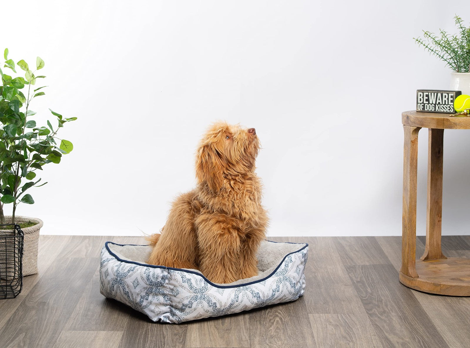 Modern Threads luxury dog bed in oxford printed plush with a cozy cuddler design for small to medium dogs.
