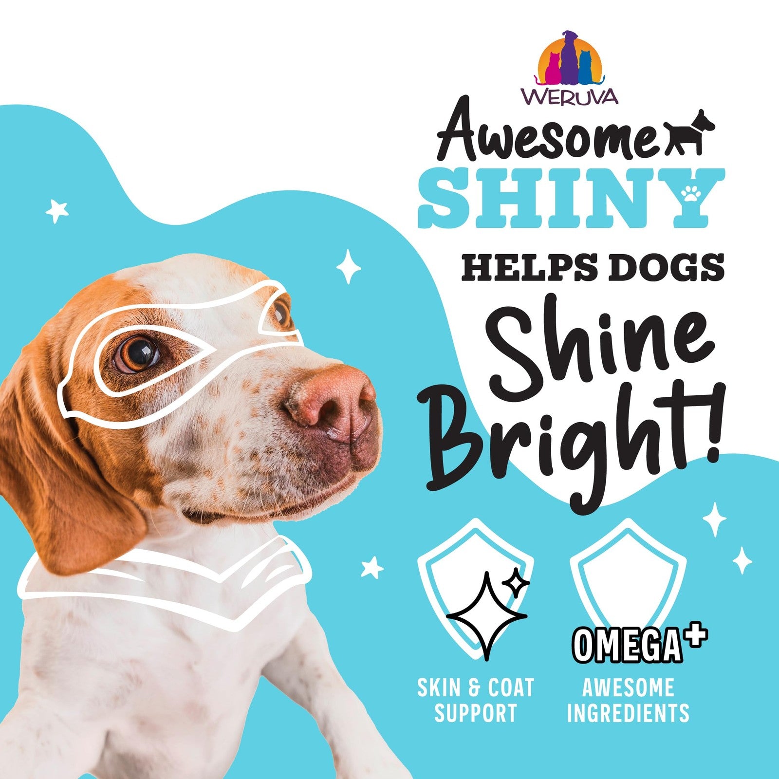 Weruva Awesome Shiny Wet Dog Food Coat Crusader variety pack 14oz cans with colorful labels and images of dog food flavors.