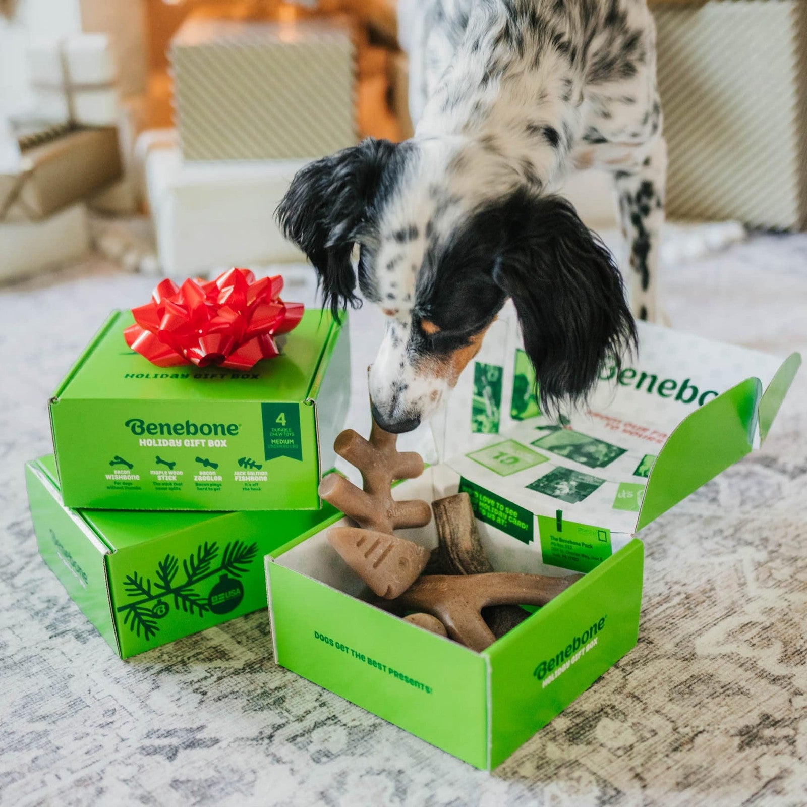 Benebone medium holiday dog chew toys pack featuring durable, textured chew bones for aggressive chewers, designed for dental health.