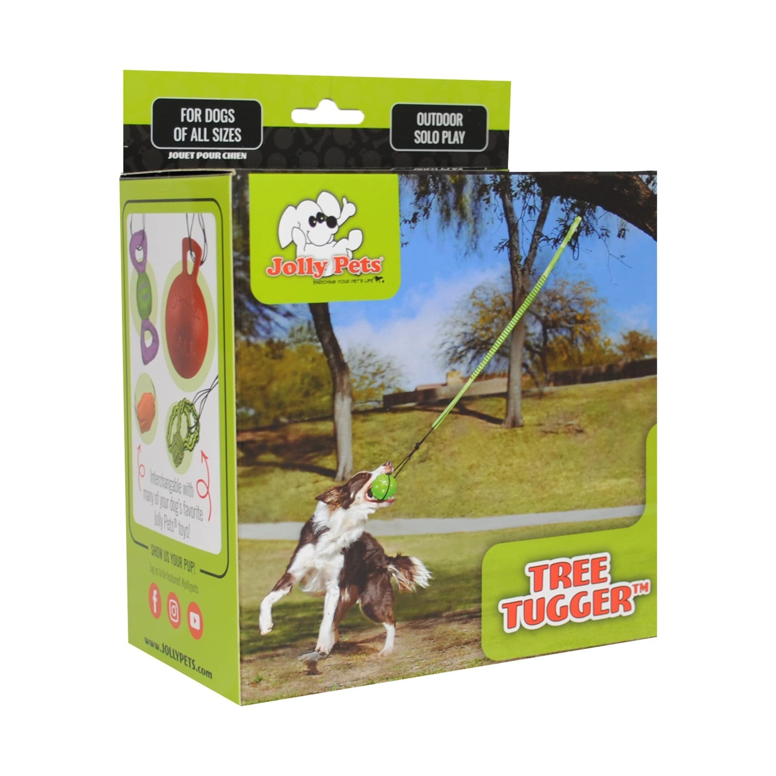 Green Jolly Pets Tree Tugger dog toy with rope and handle, durable chew and tug toy for dogs.