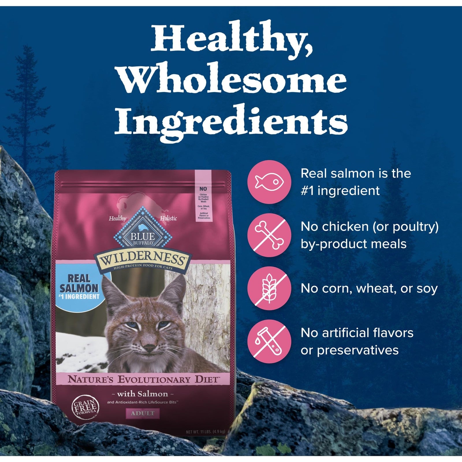 Blue Wilderness high protein grain-free dry cat food with salmon in a blue bag, showcasing the cat food product.