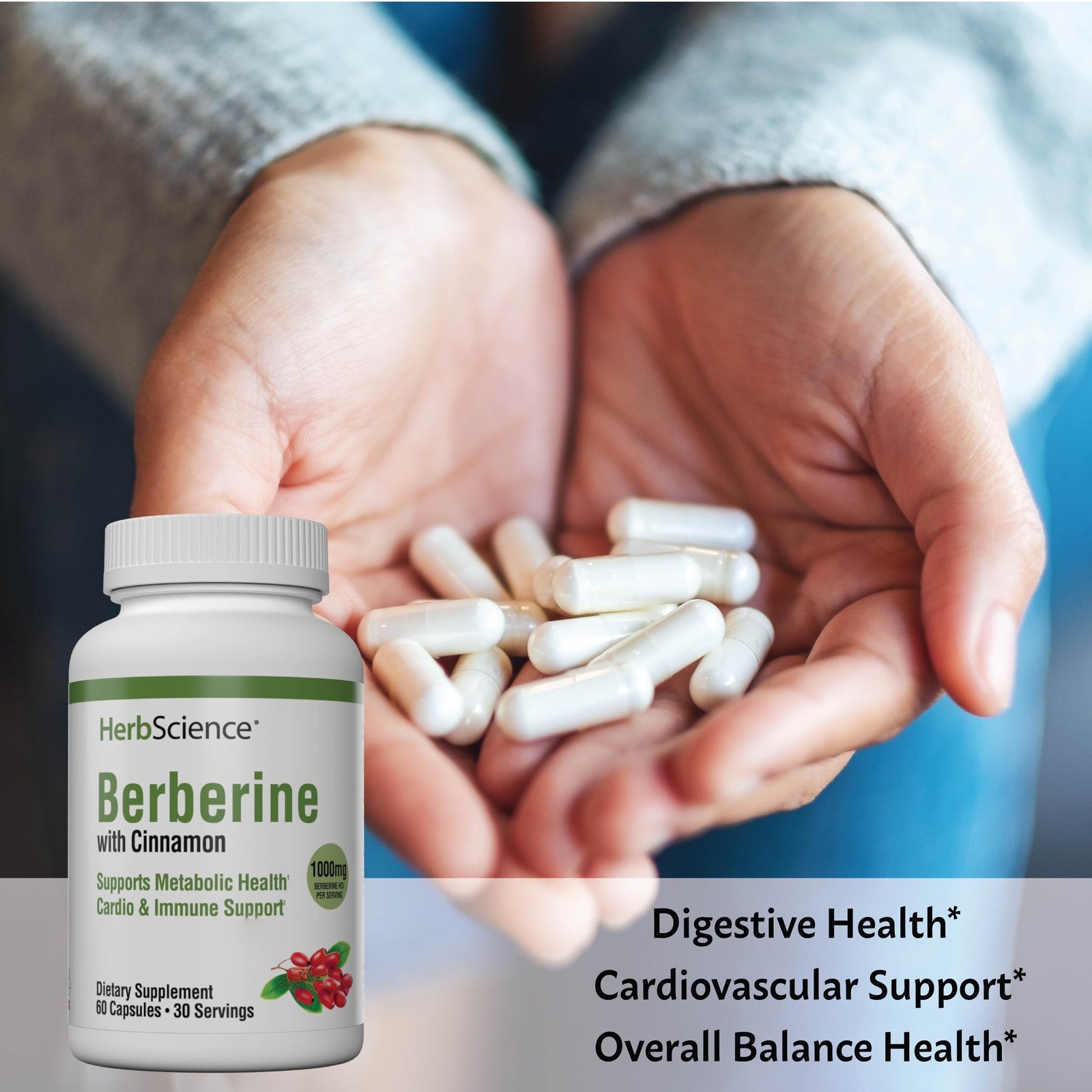 Windmill Herb Science Berberine supplement bottle showing label with 1000mg per serving for supporting metabolic health