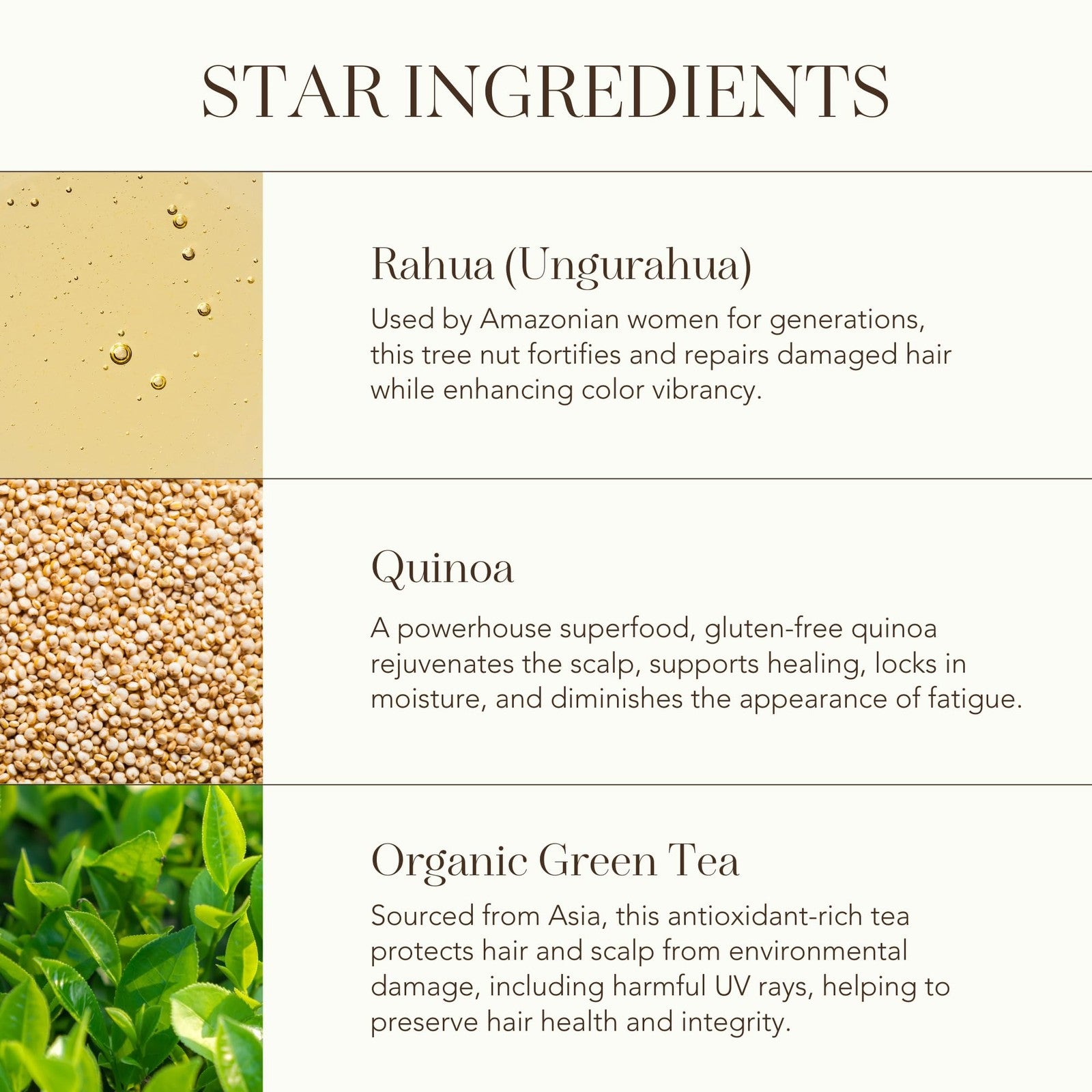 Rahua Light Leave-In Treatment in a pump bottle, vegan conditioner and heat protectant for soft, manageable hair.