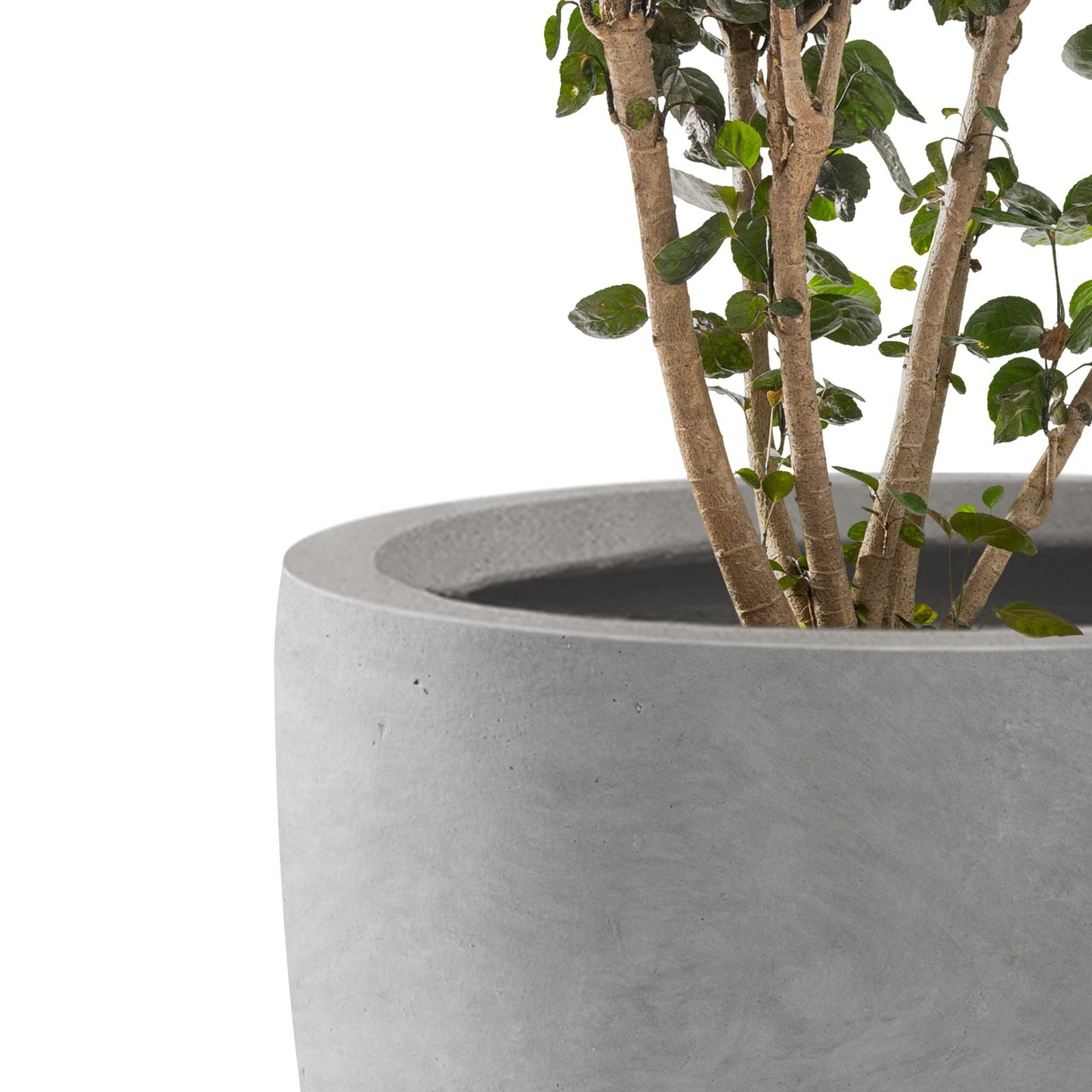 Large Kante 13.4-inch round concrete planter for outdoor and indoor decor, modern design with a smooth, durable surface.