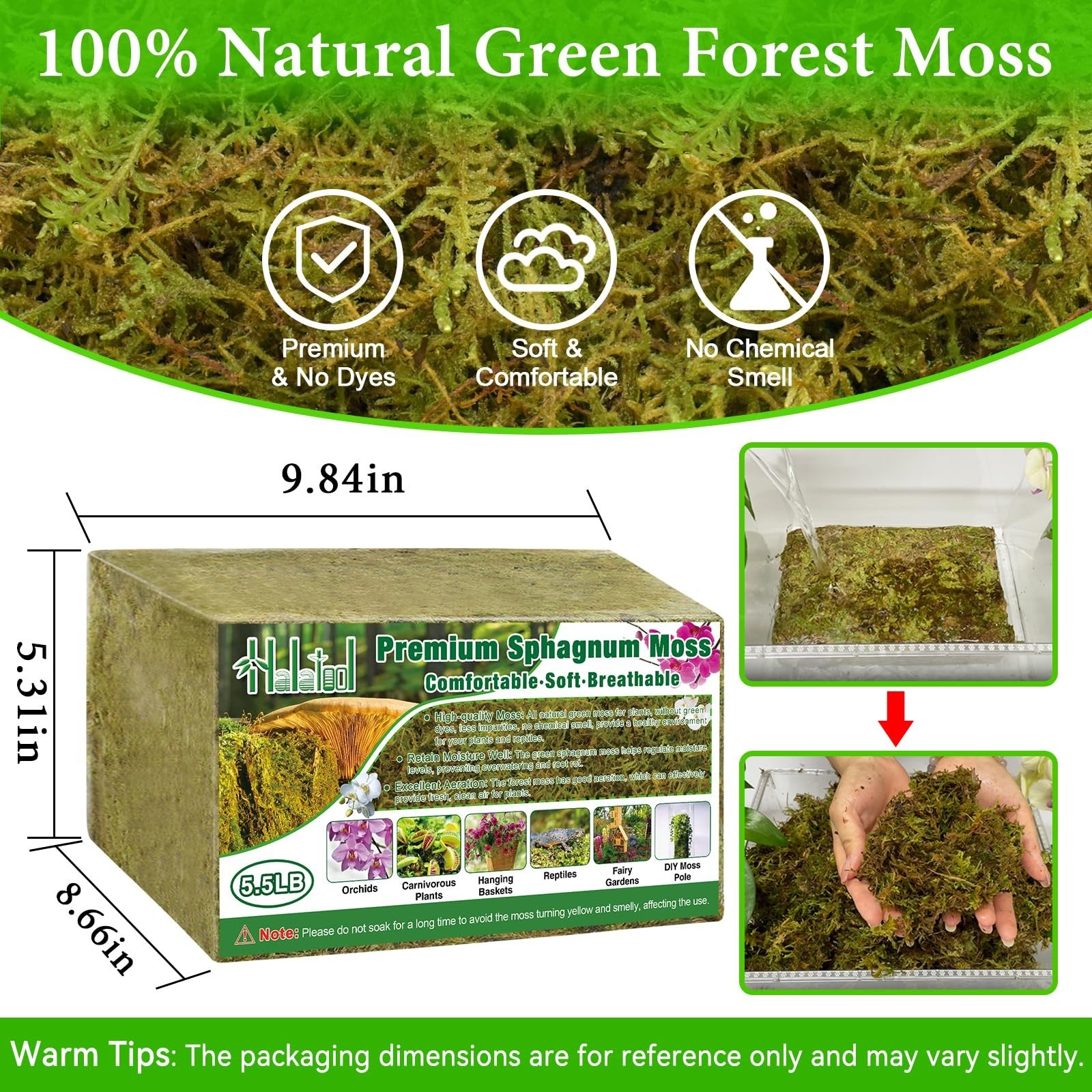 Green natural sphagnum moss from Halatool, 5.5LB, ideal for orchids and potted plants, showing fresh moss in a natural setting.