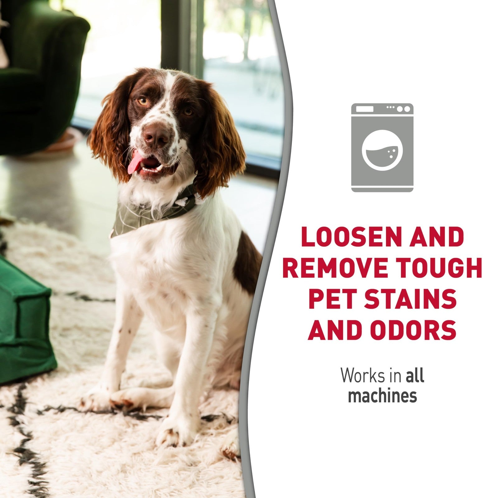 Nature's Miracle enzymatic dog stain and odor eliminator in a 1-gallon jug, designed to remove severe messes and odors.