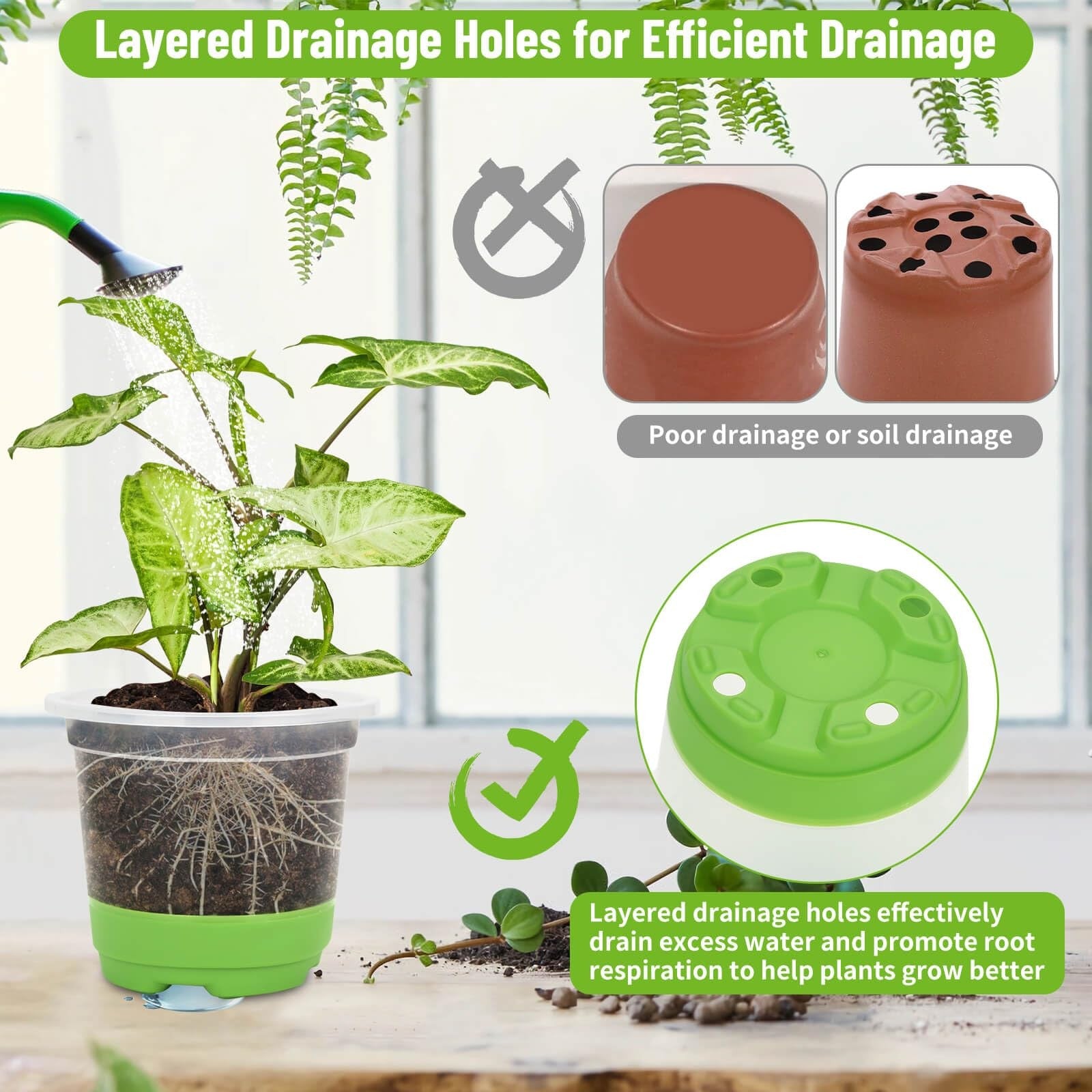 Caffox 57-piece reusable seed starter kit with 26 clear 4-inch nursery pots and planting accessories for gardening.