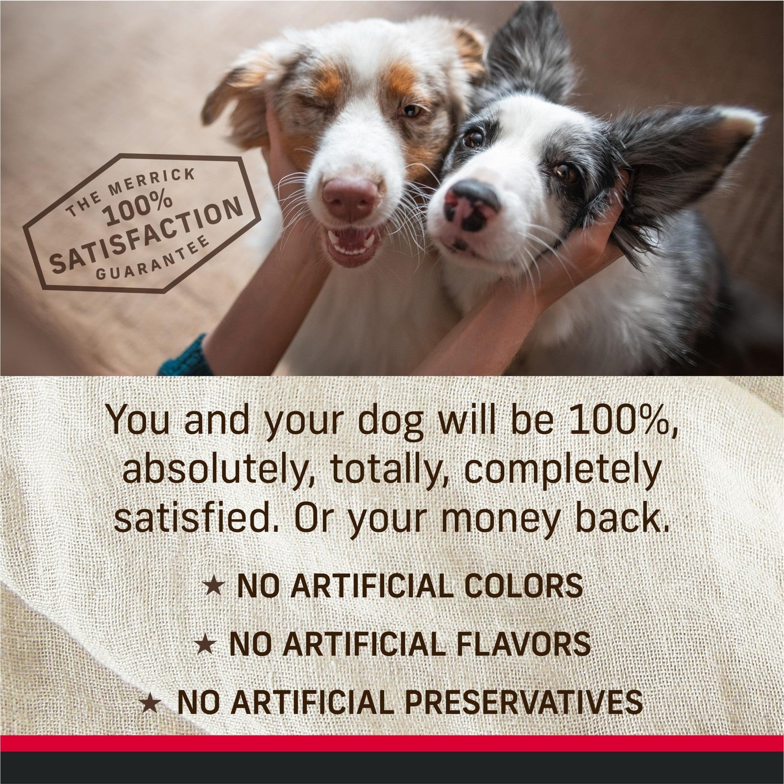 Canned Merrick Backcountry Grain Free Premium Dog Food with soft, healthy texture and natural ingredients for dogs.