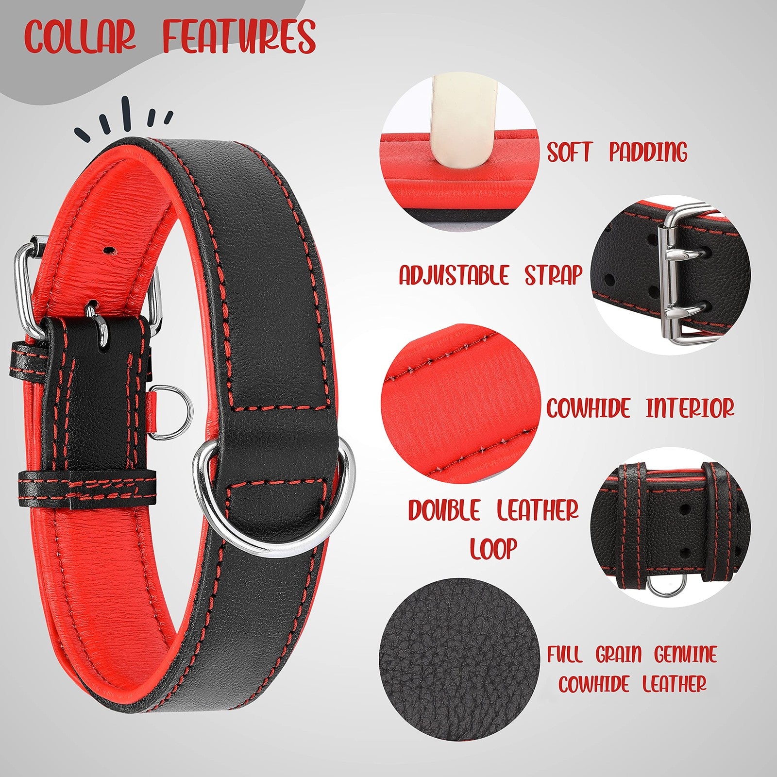 Riparo Motorsports adjustable leather dog collar, heavy-duty wide collar with sturdy metal buckle on a black background.