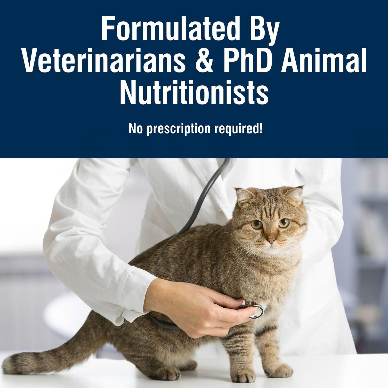 Blue Buffalo True Solutions Skin & Coat Care dry cat food for adult cats, featuring natural ingredients in a blue bag.