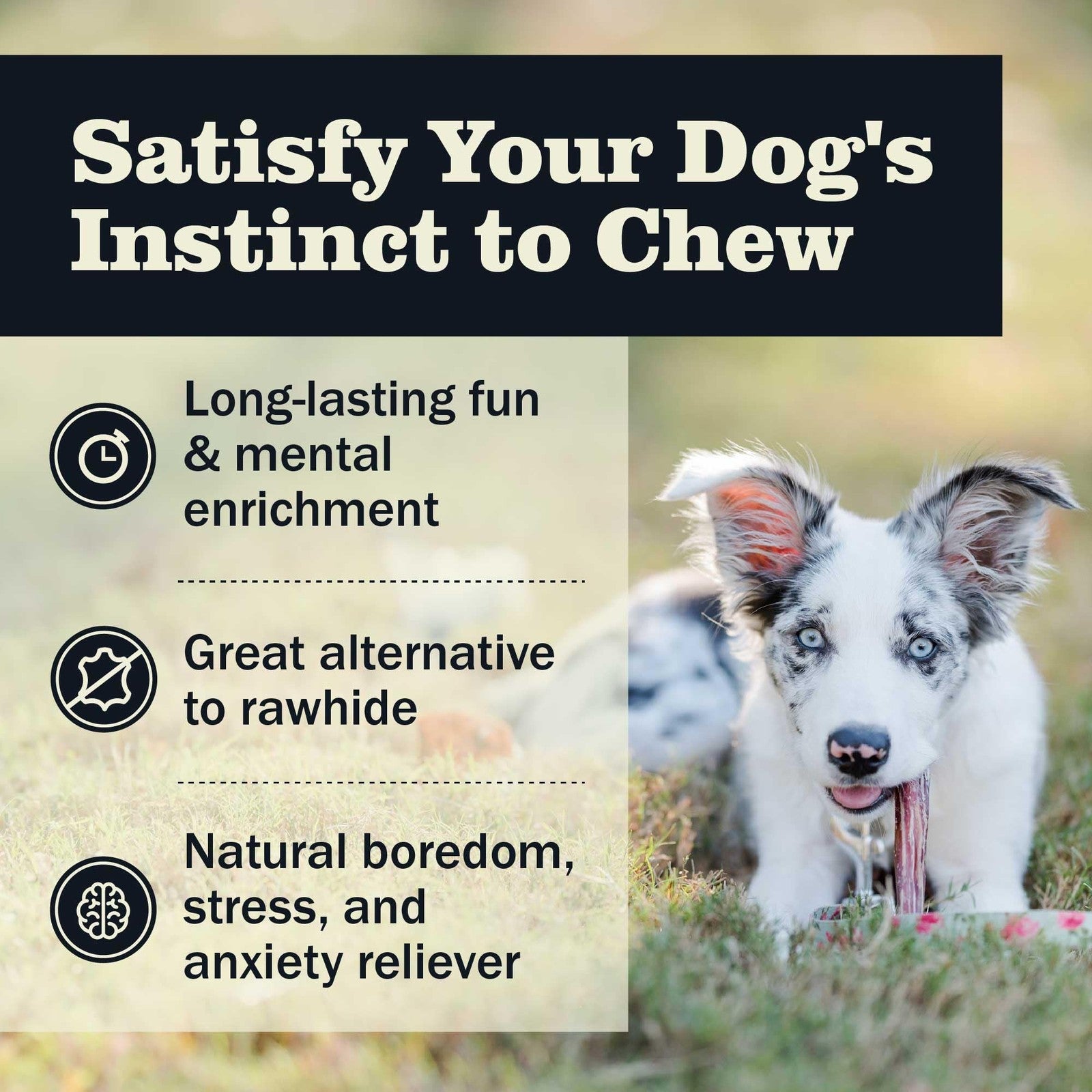 Redbarn Pet Products all-natural 4-5 inch bully sticks for small and medium dogs, shown in a close-up image.