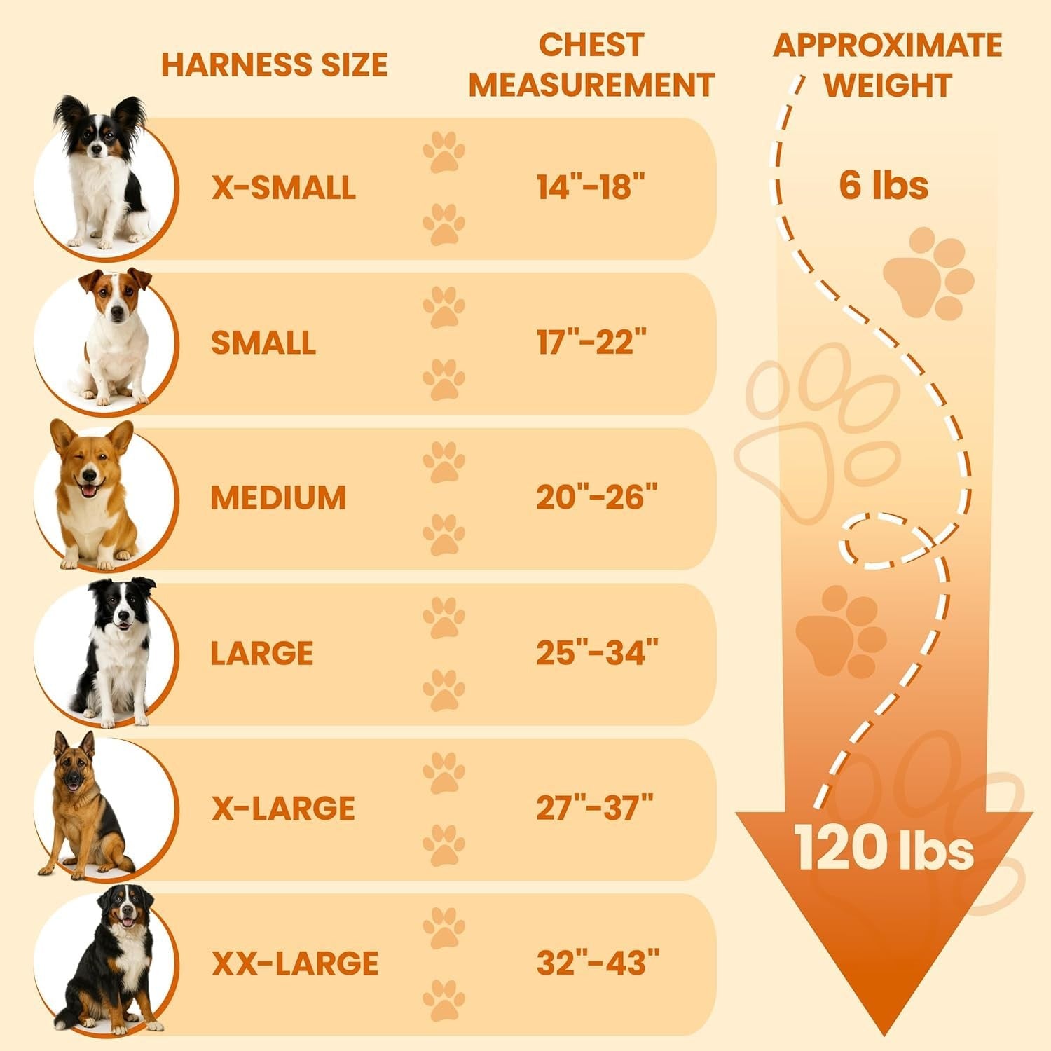 Gray Bark Appeal no-pull dog harness for small to medium pets, adjustable with padded straps for comfortable control.
