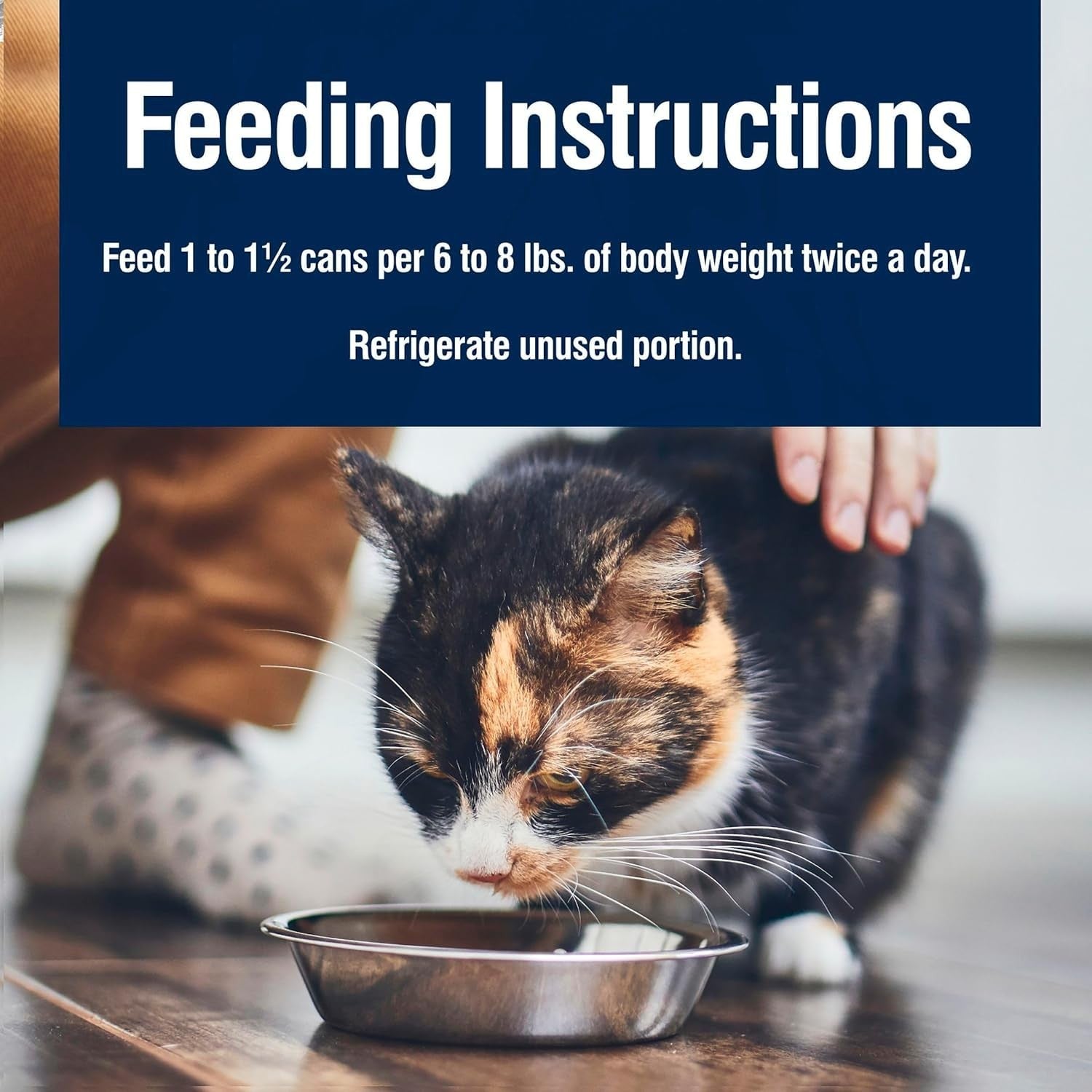 Blue Buffalo True Solutions Urinary Care wet cat food with chicken for adult cats, showing cans of nutritious feline food.