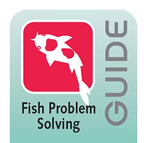 API Melafix pond fish infection remedy in a 64-ounce black bottle, used to treat fish wounds and infections in outdoor ponds.