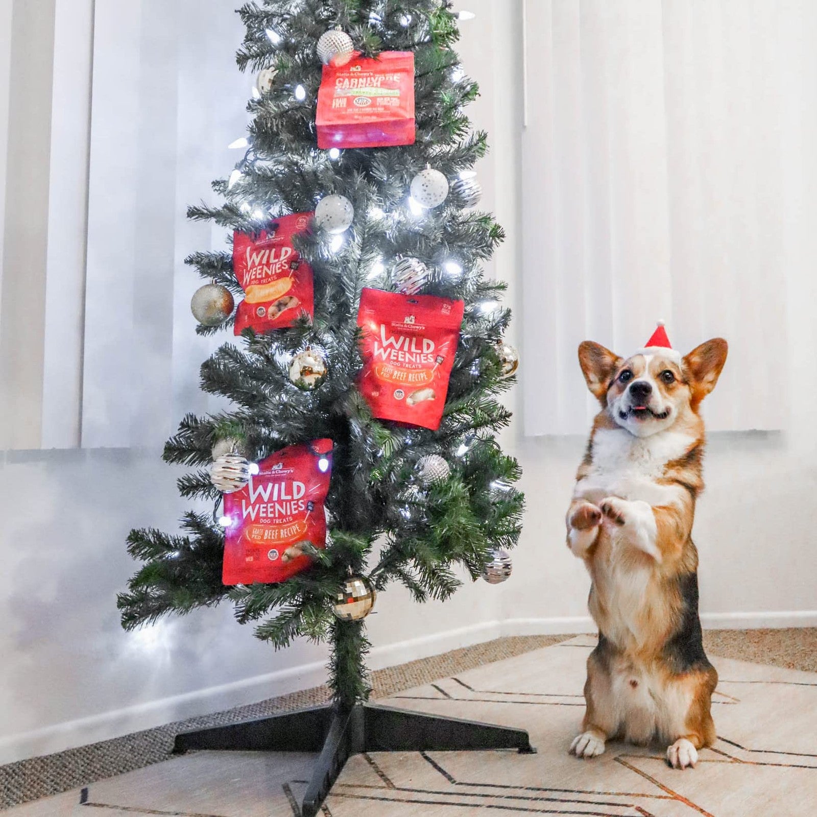 Stella & Chewy's beef treats bundle with three packages of single animal protein treats for dogs, showing the product packaging.