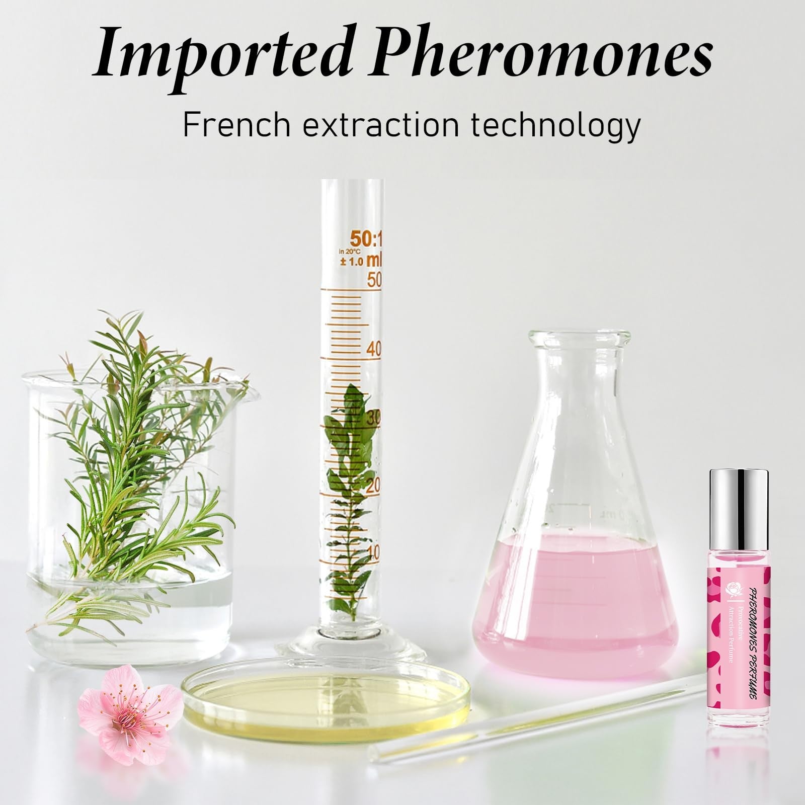 DIBALA Pheromones Perfume for Women, 10ml long-lasting natural roll-on oil with elegant packaging.