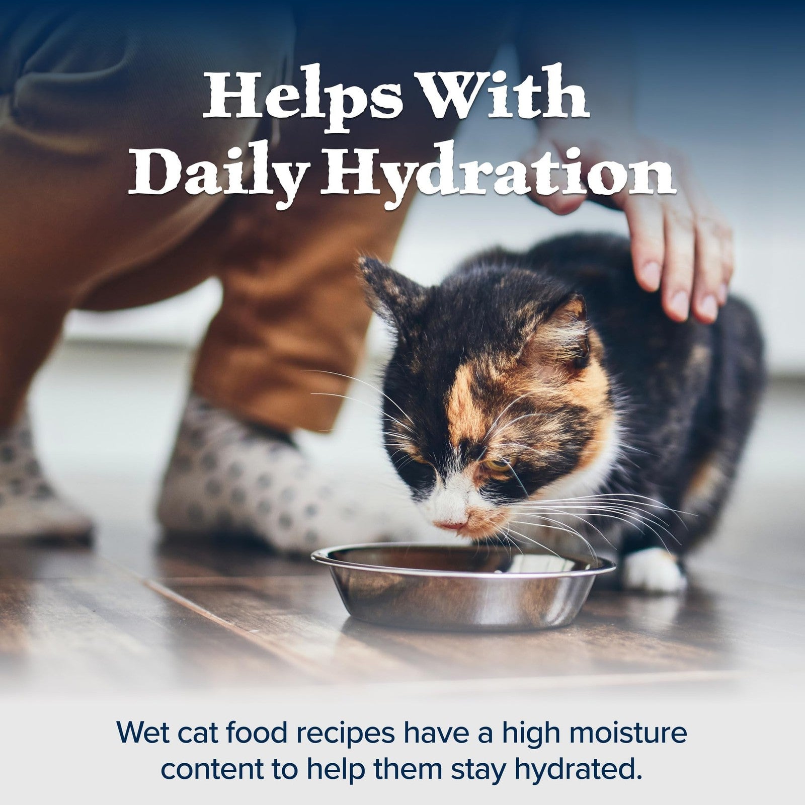 Canned Blue Buffalo Wilderness Grain-Free Wet Cat Food for adults with turkey flavor, showing the food in the can.