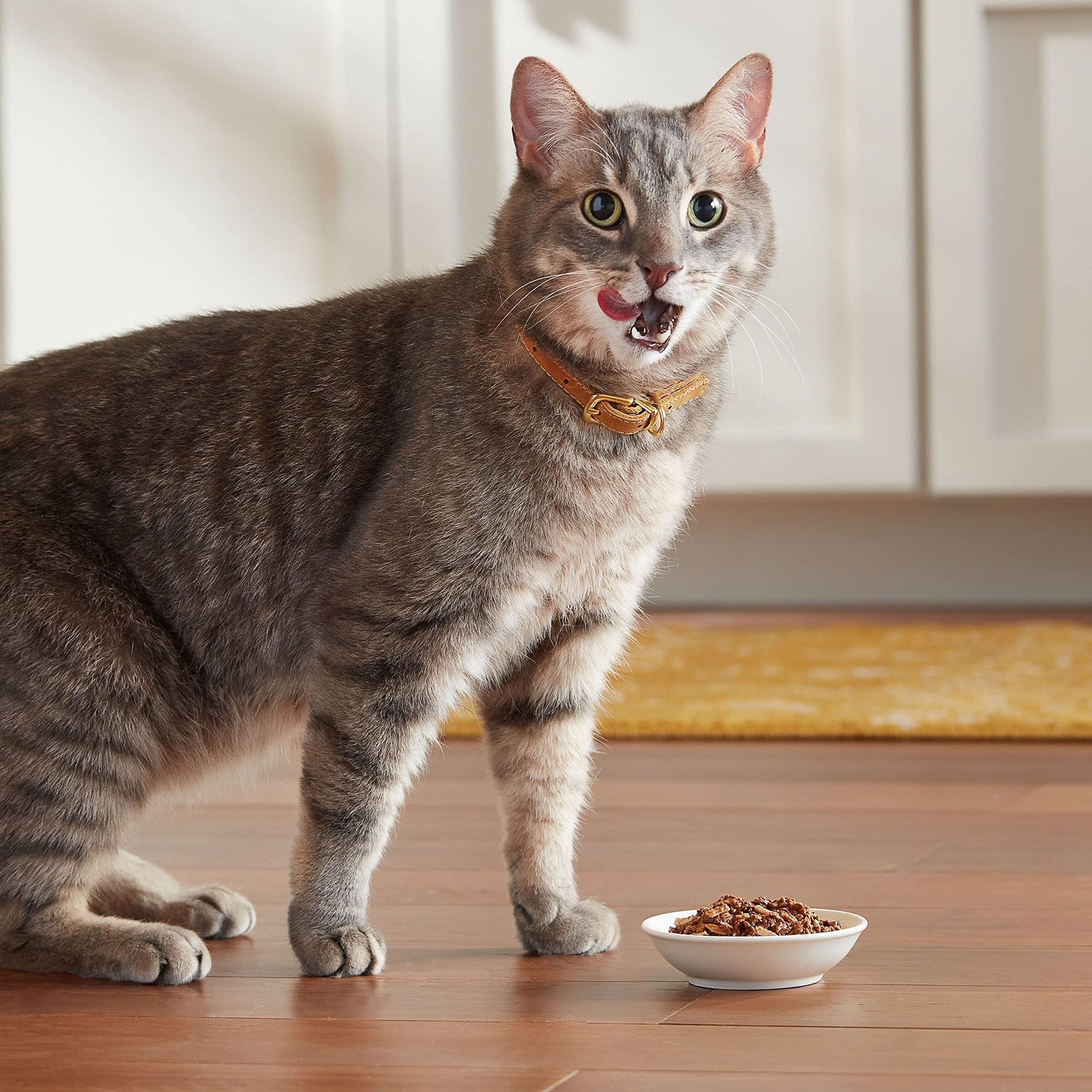 Meow Mix Wet Cat Food Bundle with seafood tenders in 2.75oz packs, showing multiple cans stacked together.