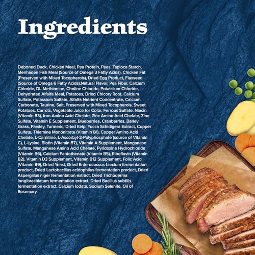 Blue Buffalo Wilderness adult dry cat food bag featuring duck recipe, high-protein natural ingredients for cats.