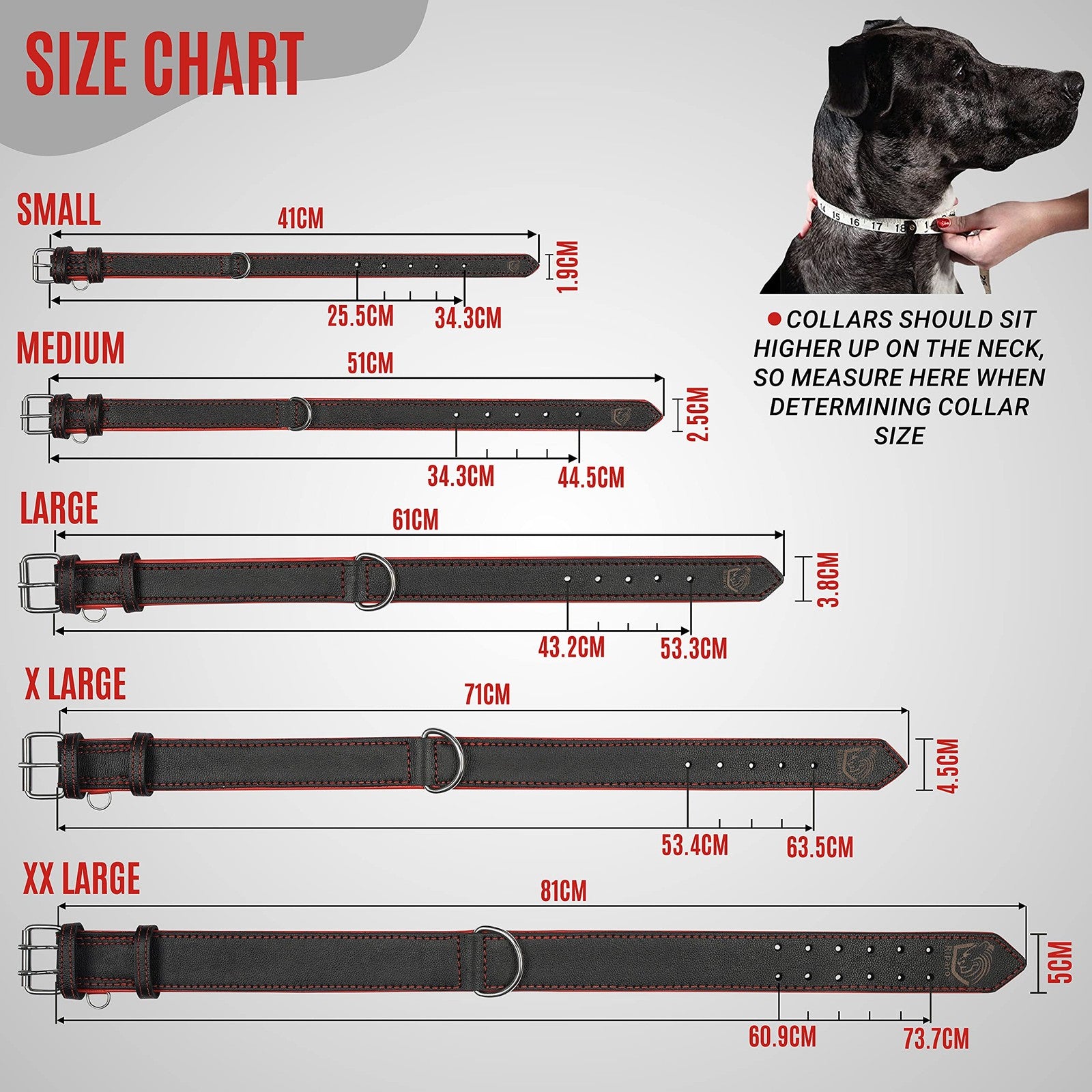 Riparo Motorsports adjustable leather dog collar, heavy-duty wide design with metal buckle and stitching, suitable for large dogs.