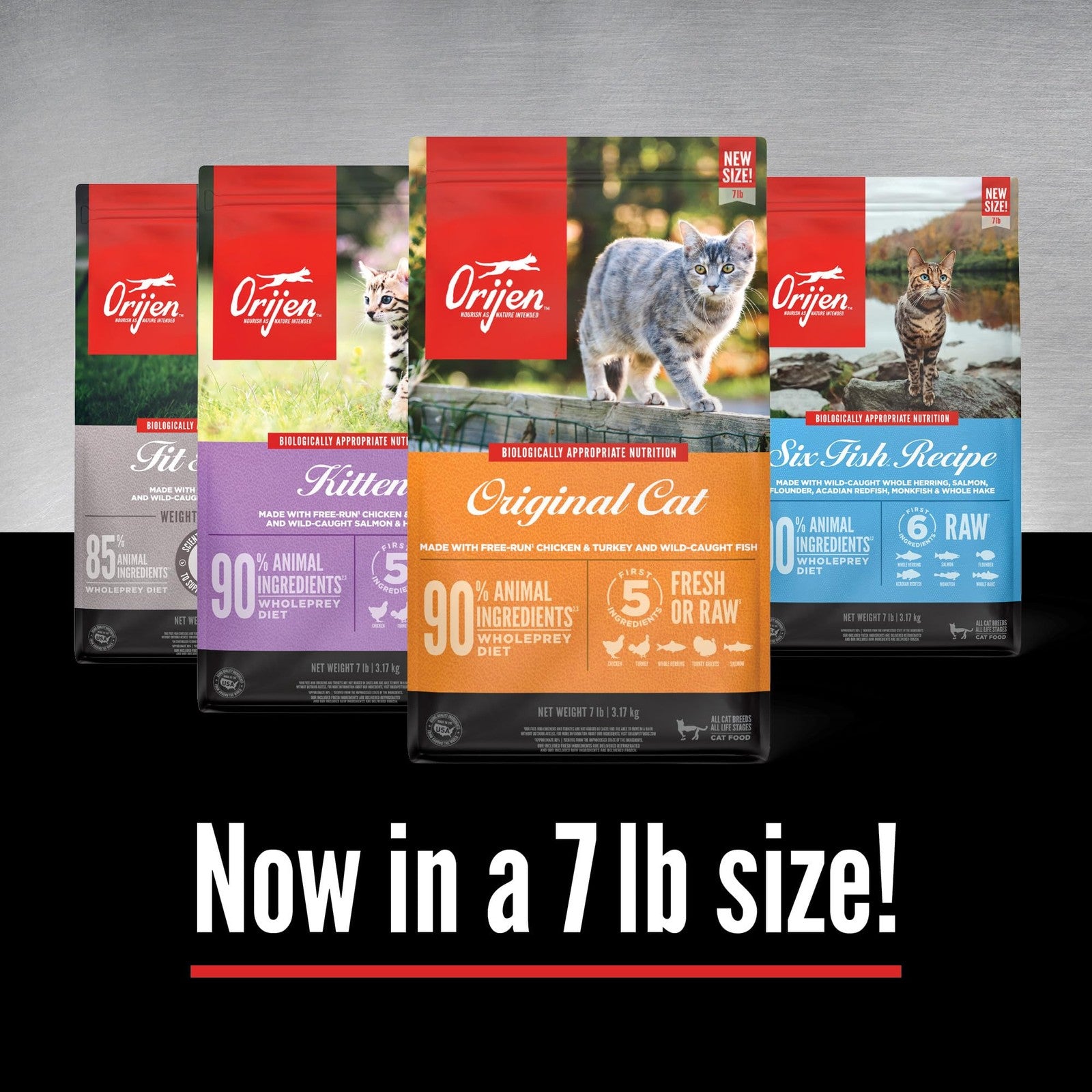 Bag of ORIJEN Grain Free High Protein Dry Cat Food Kitten Recipe, 7lb bag, showing the packaging and product label.