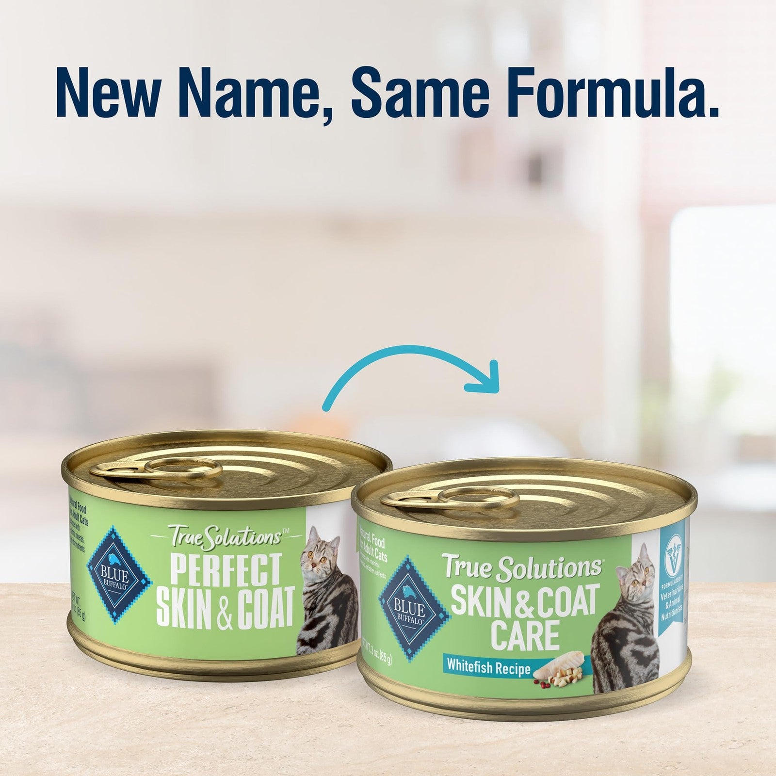 Blue Buffalo True Solutions Skin & Coat adult wet cat food with whitefish, showcasing the premium canned cat food in a bowl.