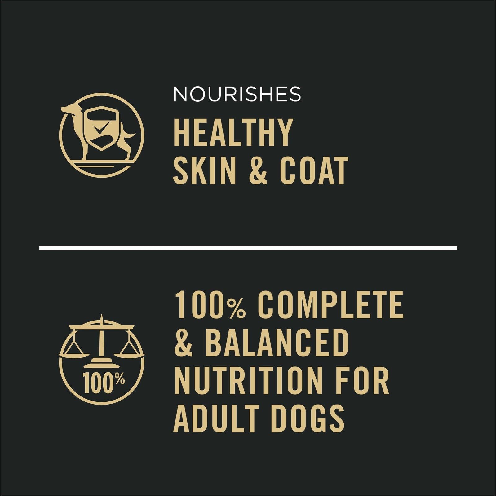 Canned Purina Pro Plan Complete Essentials beef and vegetables wet dog food with chunks of meat and vegetables in gravy