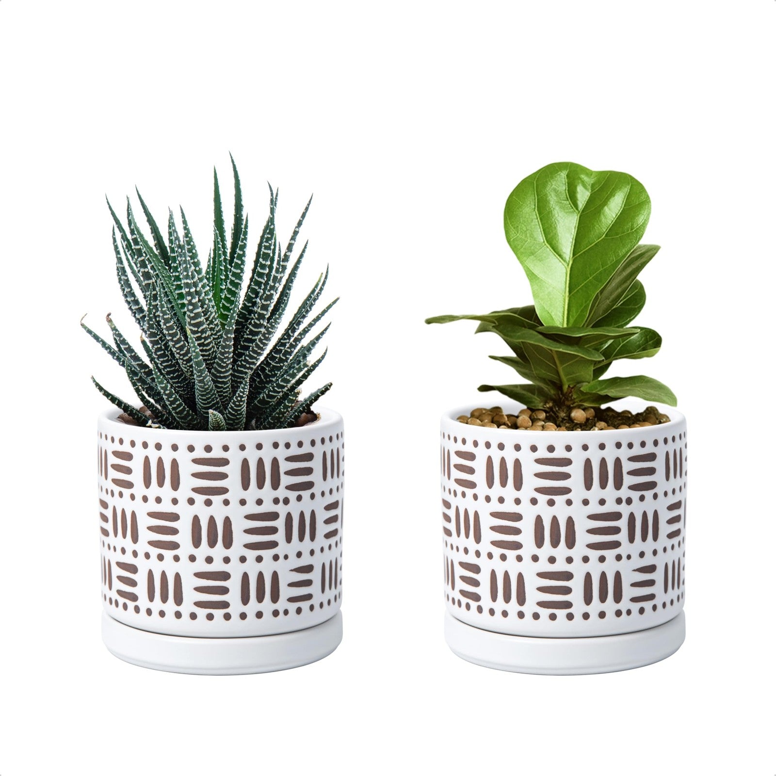 Pair of D'vine Dev ceramic planter pots with drainage holes and saucers, 4.5 inches, ideal for indoor plants.