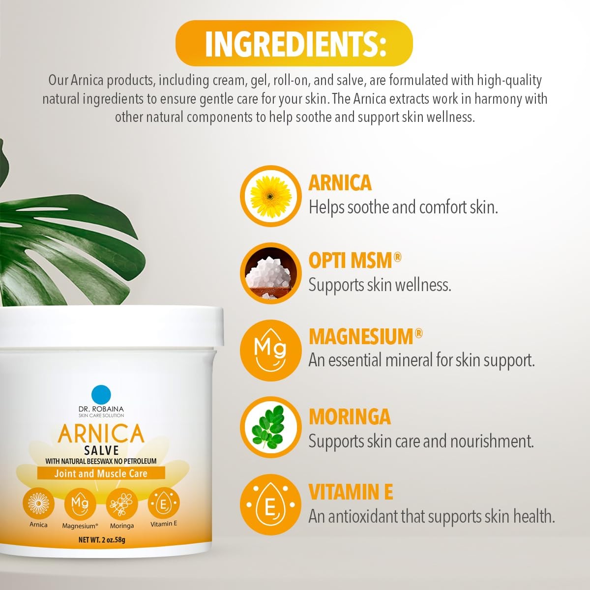 Dr. Robaina Arnica Salve in a jar, fast-absorbing muscle balm for bruises, swelling, and muscle soreness.