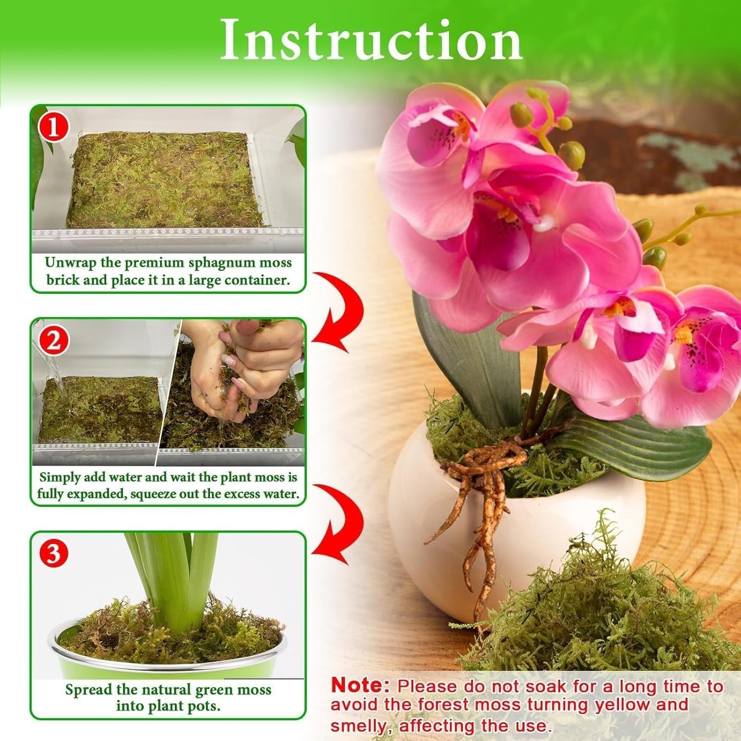 Halatool 5.5LB green natural sphagnum moss for orchids and potted plants, showing fresh moss in a garden setting
