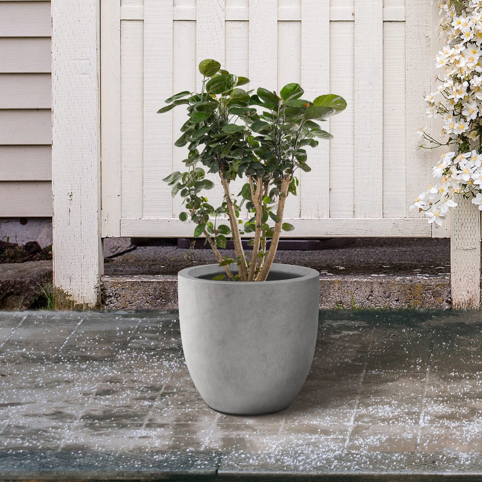 Kante 13.4-inch round concrete planter for outdoor and indoor use, modern large decorative plant container.