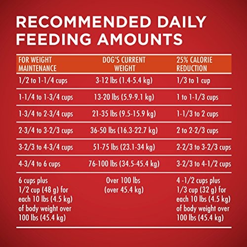 Purina ONE Plus Healthy Weight high-protein dry dog food in a 16.5 lb. bag, featuring kibble designed for weight management and nutrition.
