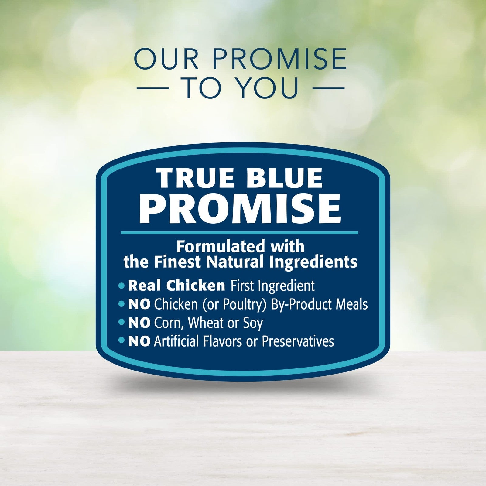 Blue Buffalo Freedom grain-free wet cat food for mature cats, showing a bowl of moist, balanced nutrition for senior felines.