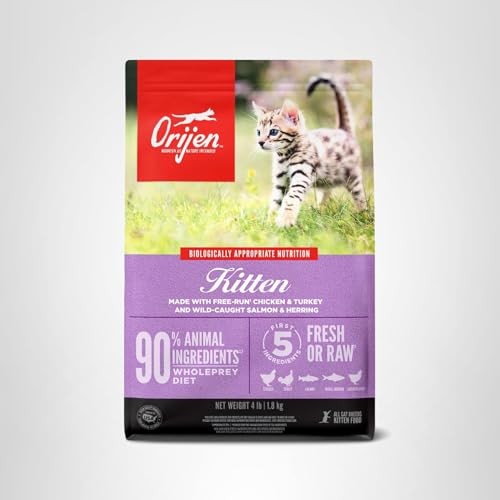 ORIJEN grain-free high protein dry cat food for kittens in a 4lb bag, featuring natural ingredients and a premium recipe.