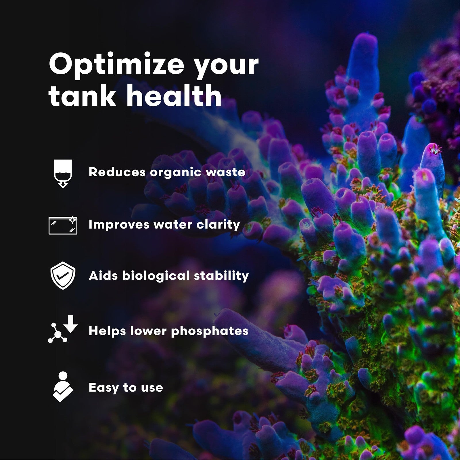 Continuum Aquatics BacterGen M marine nitrifying bacteria for aquarium waste reduction, shown in a clear container.