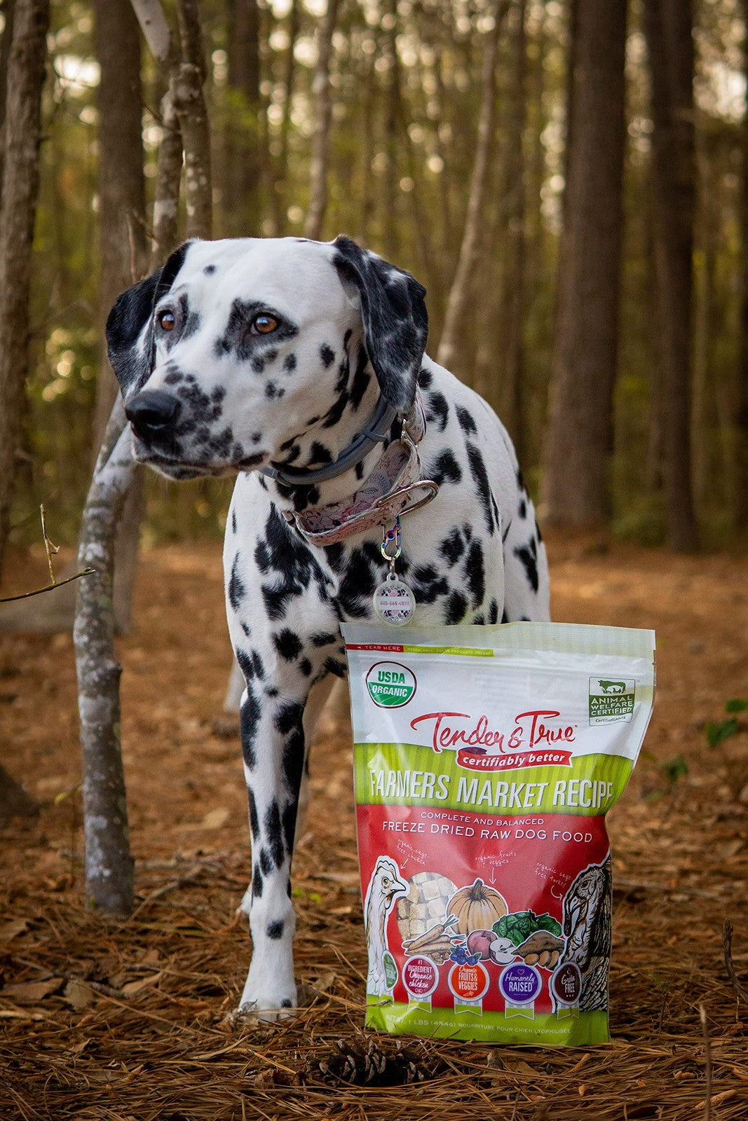 Tender & True Farmers Market Recipe freeze-dried raw dog food in 1 lb. bag, showing the textured, raw pet food pieces.