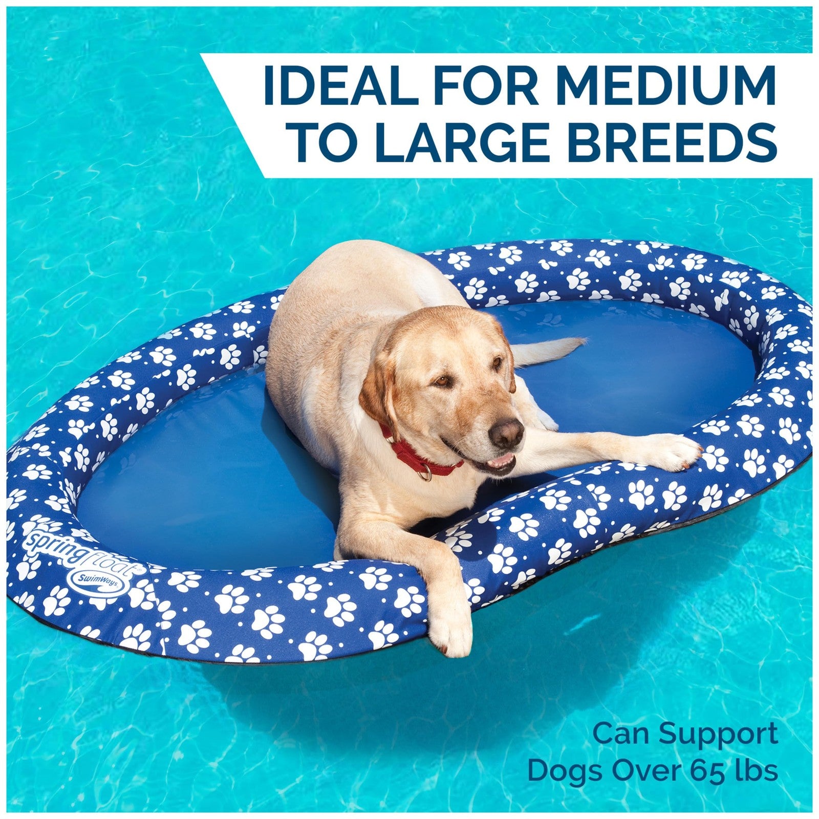 Large blue Swimways Paddle Paws spring float dog raft for dogs 65 lbs and up, featuring a pet-friendly design on the water.