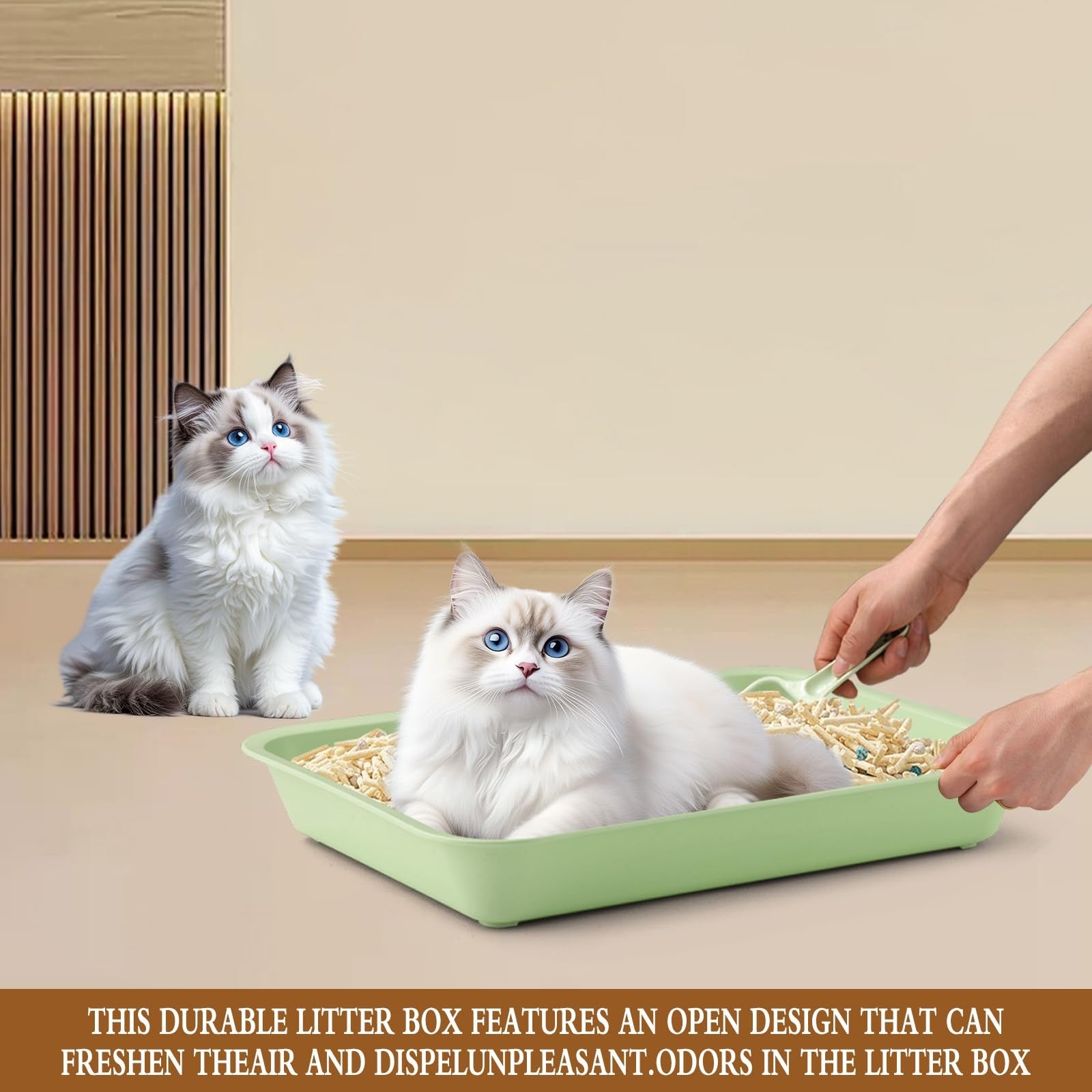 CIEOVO 6-piece kitten litter box set with small plastic pans and matching scoops, ideal for keeping your cat's litter tidy.