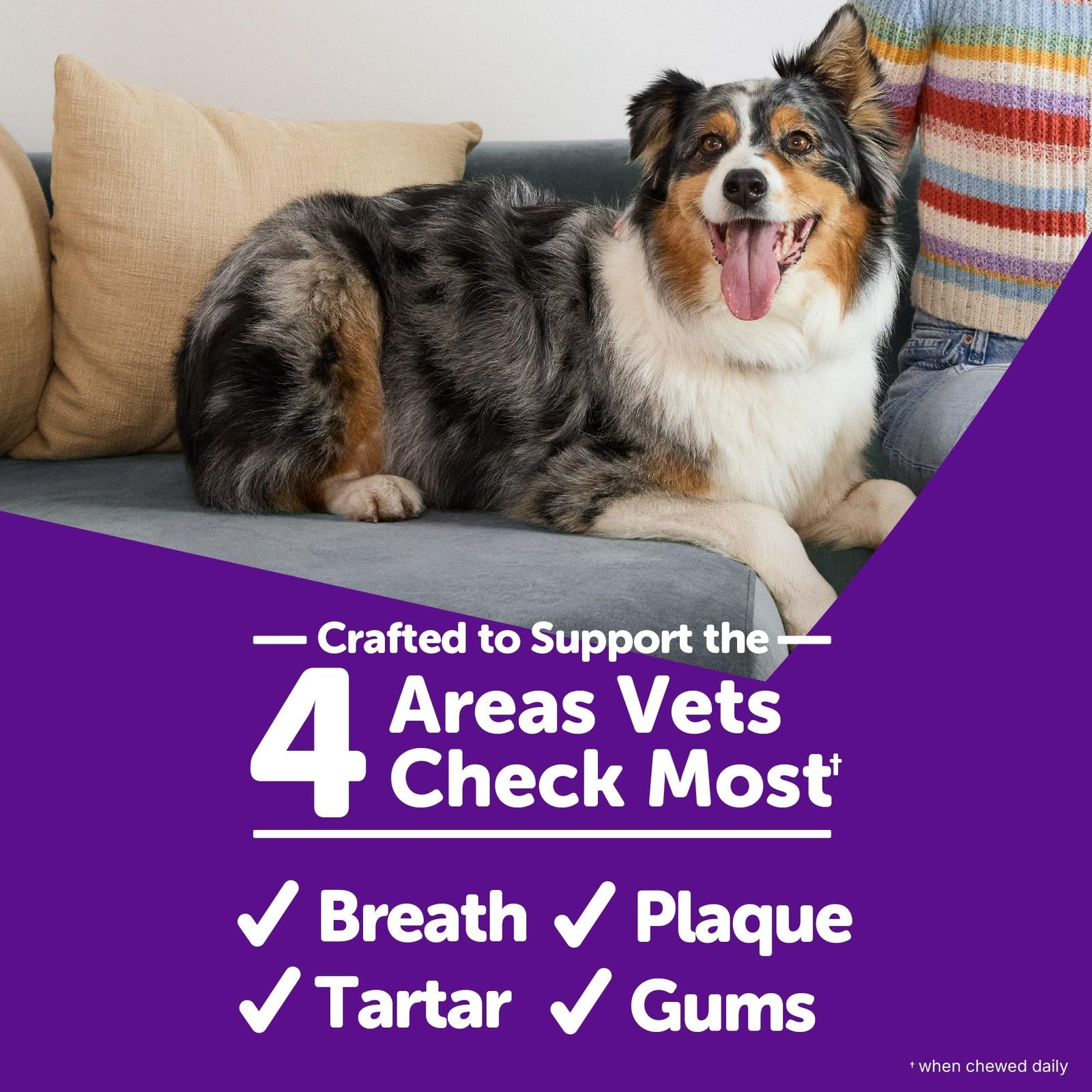 Wellness WHIMZEES Value Box large dog dental treats, 15-count pack, showing textured, bone-shaped treats for dental health.