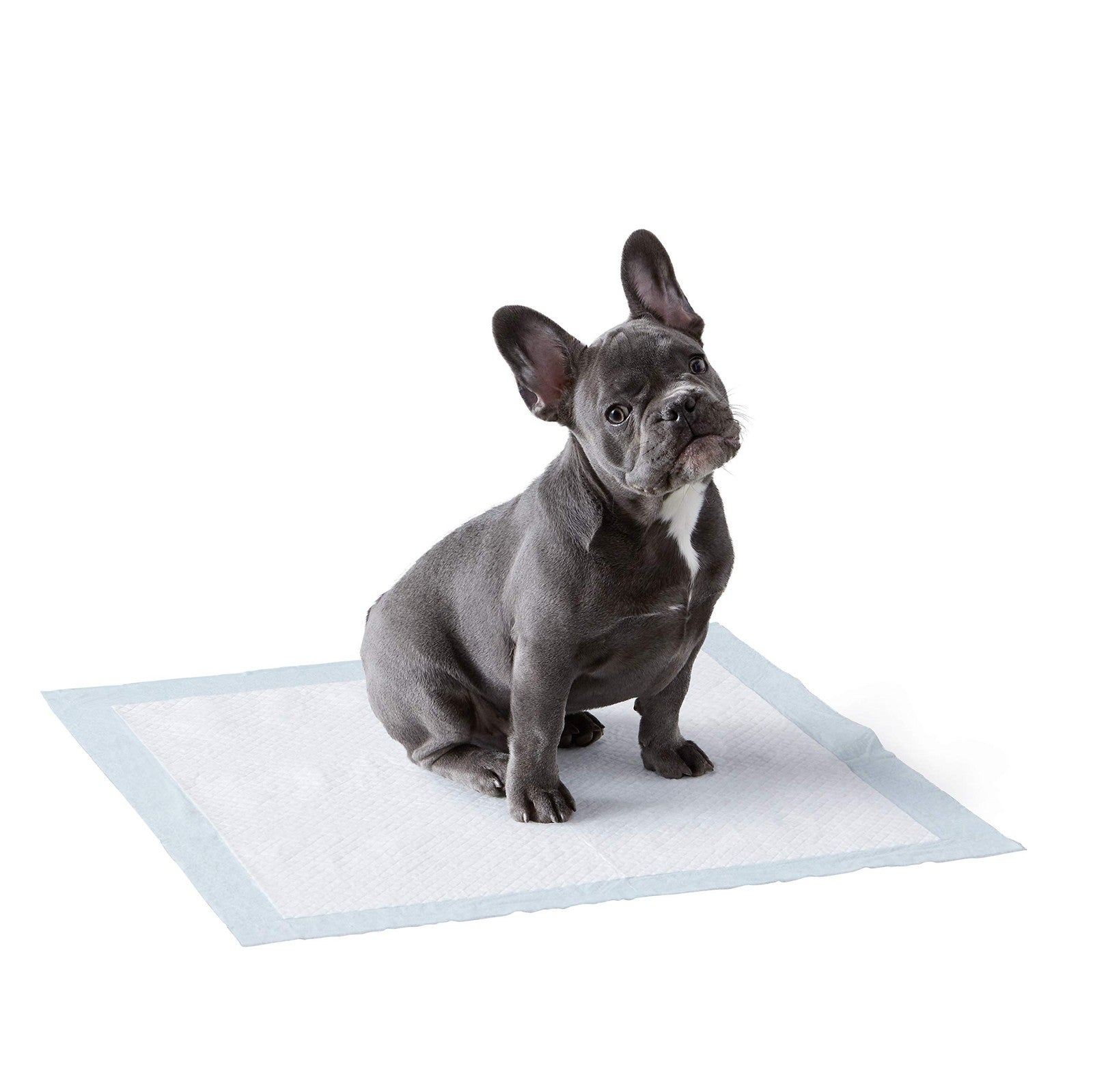 Amazon Basics dog waste bags and training pads, 100-pack, showing folded waste bags and absorbent training pads for pets.