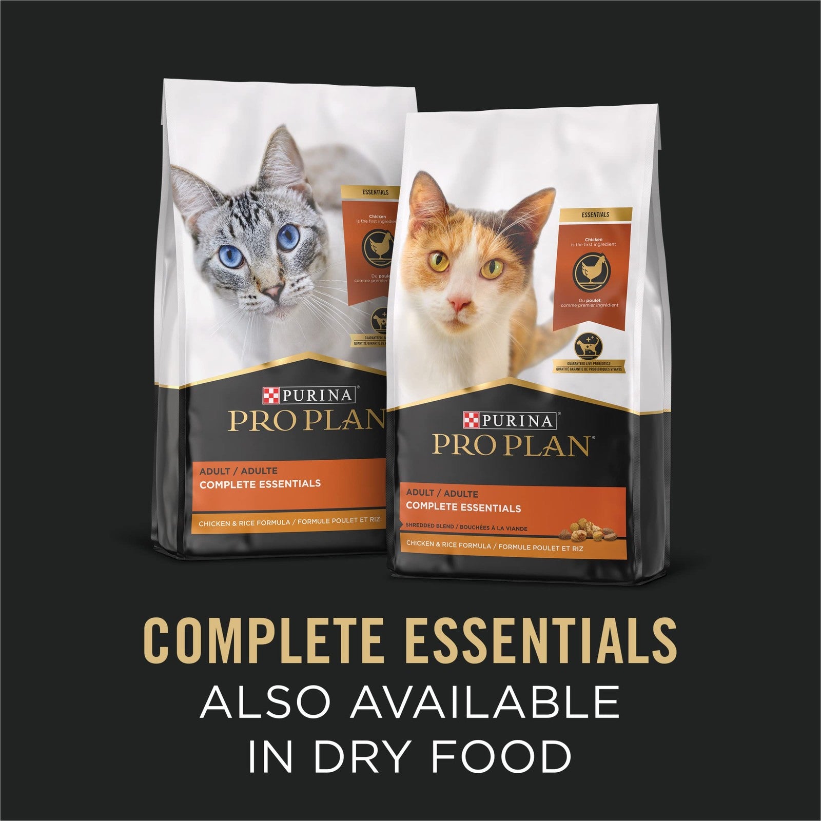 Canned Purina Pro Plan High Protein Cat Food with seafood flavor, showing the wet cat food inside a open bowl.