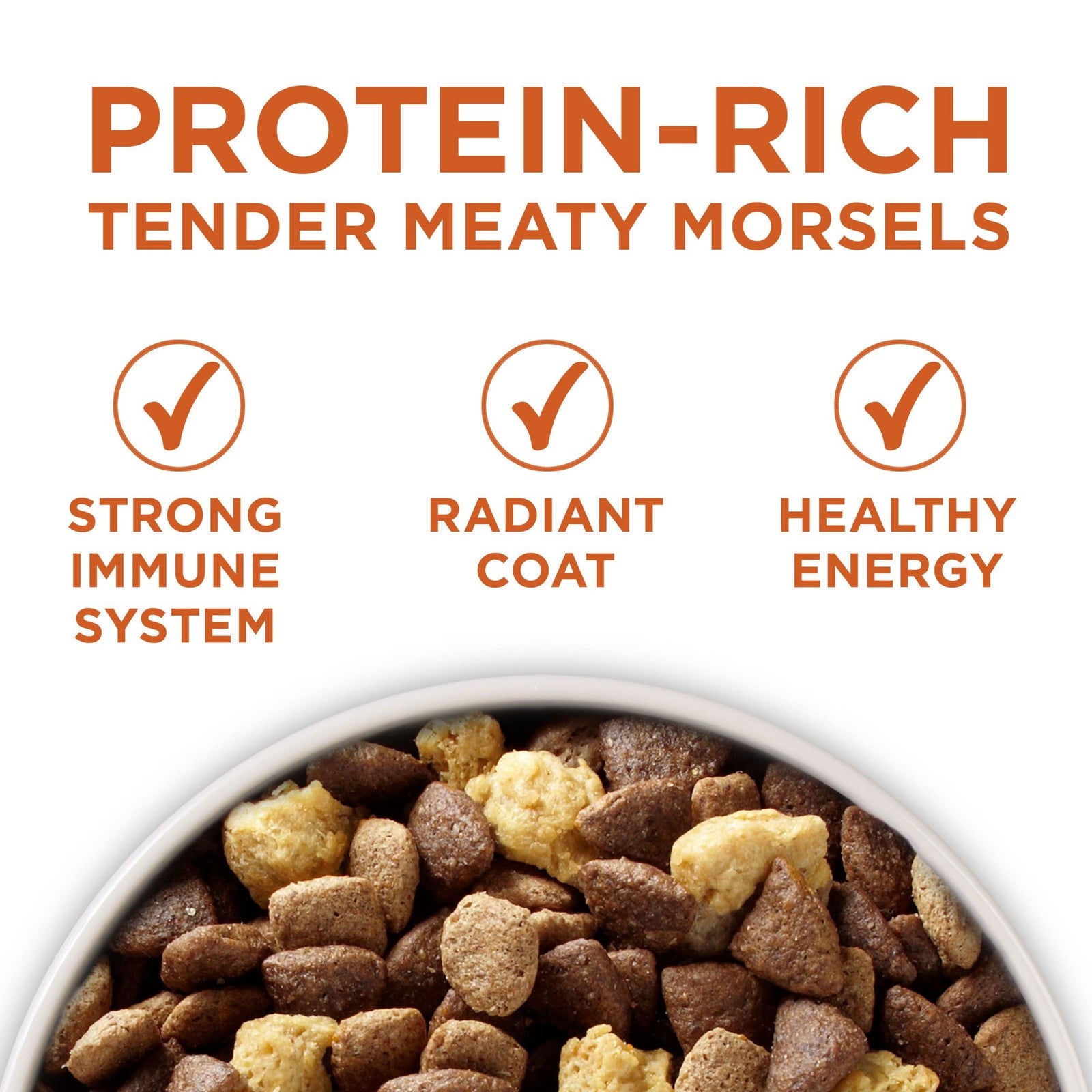 Bag of Purina ONE Plus Healthy Weight high-protein dry dog food, 16.5 lb. bag with images of dog food kibble on the packaging.