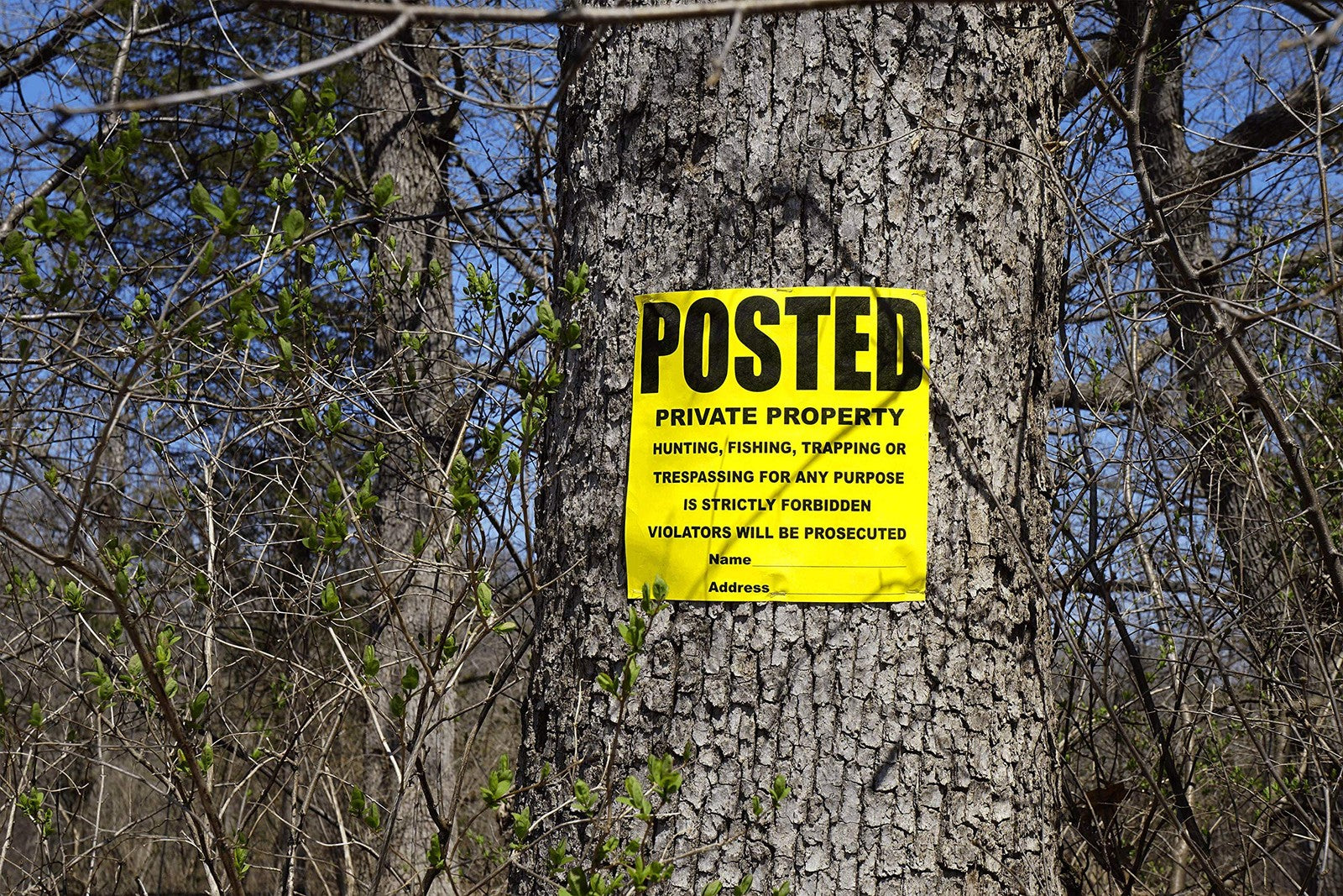 Yellow private property sign by Wristco, 11x11 inches, outdoor posted sign for indicating private land, 50 pack of signs.
