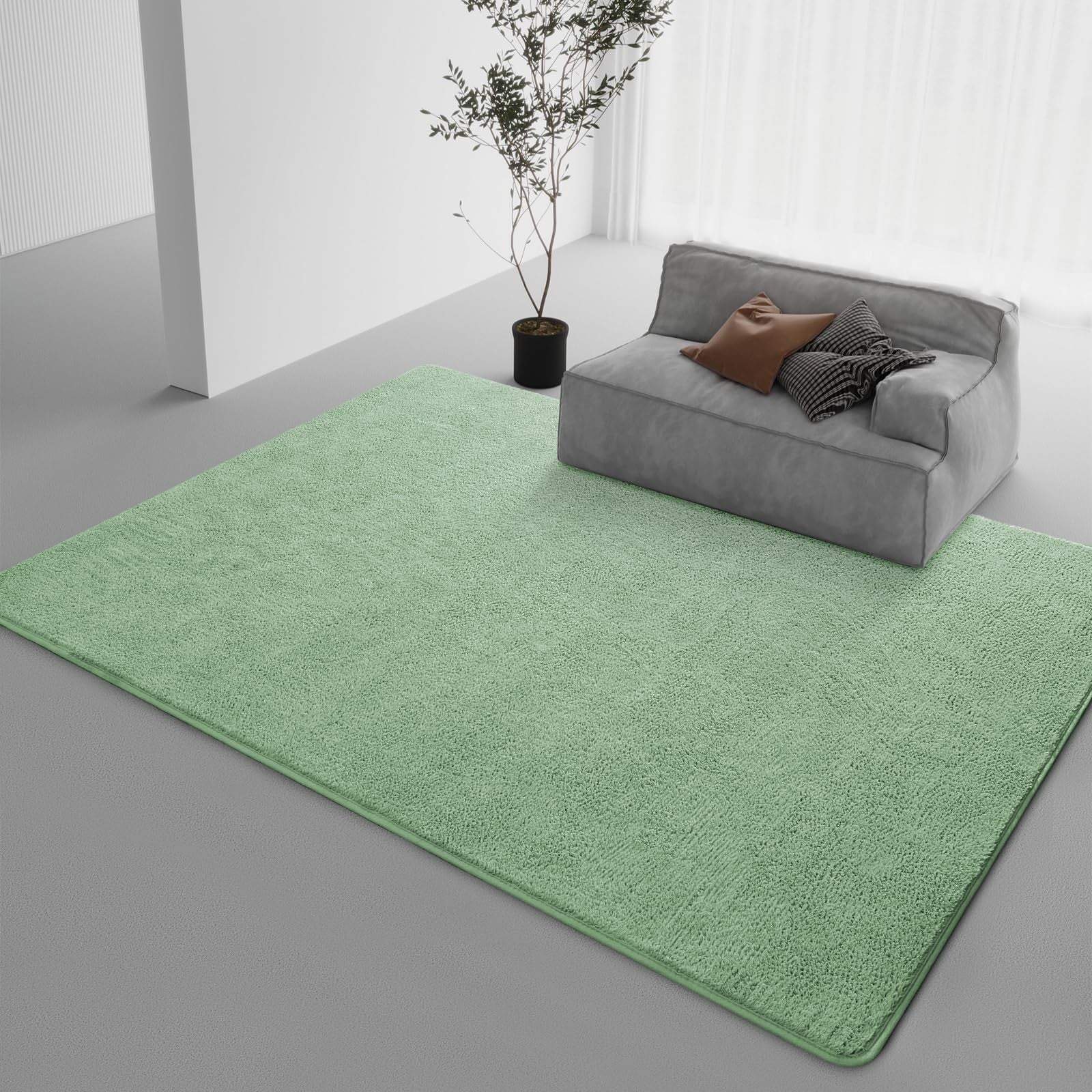 DweIke 5x7 light green modern wool coral fleece area rug with non-slip backing