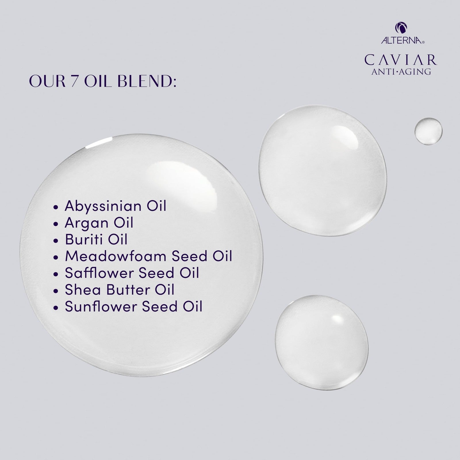 Alterna CAVIAR Anti-Aging Replenishing Moisture Hair Oil in 1.7 oz bottle, featuring light formula and sleek packaging.