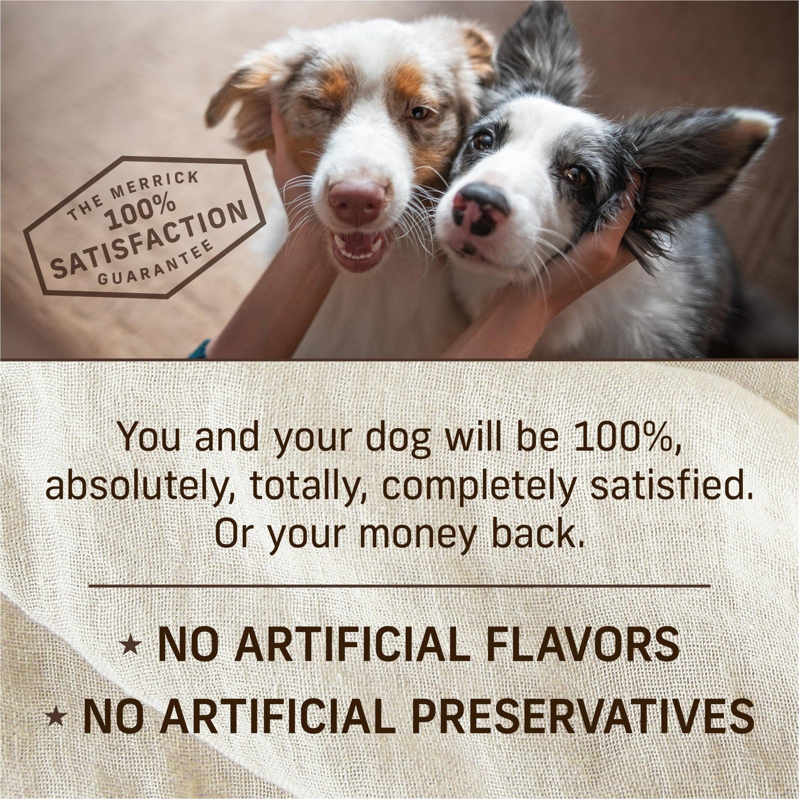 Canned Merrick Chunky Grain-Free Dog Food with real meat in a can, showcasing the wholesome, meaty texture and label.