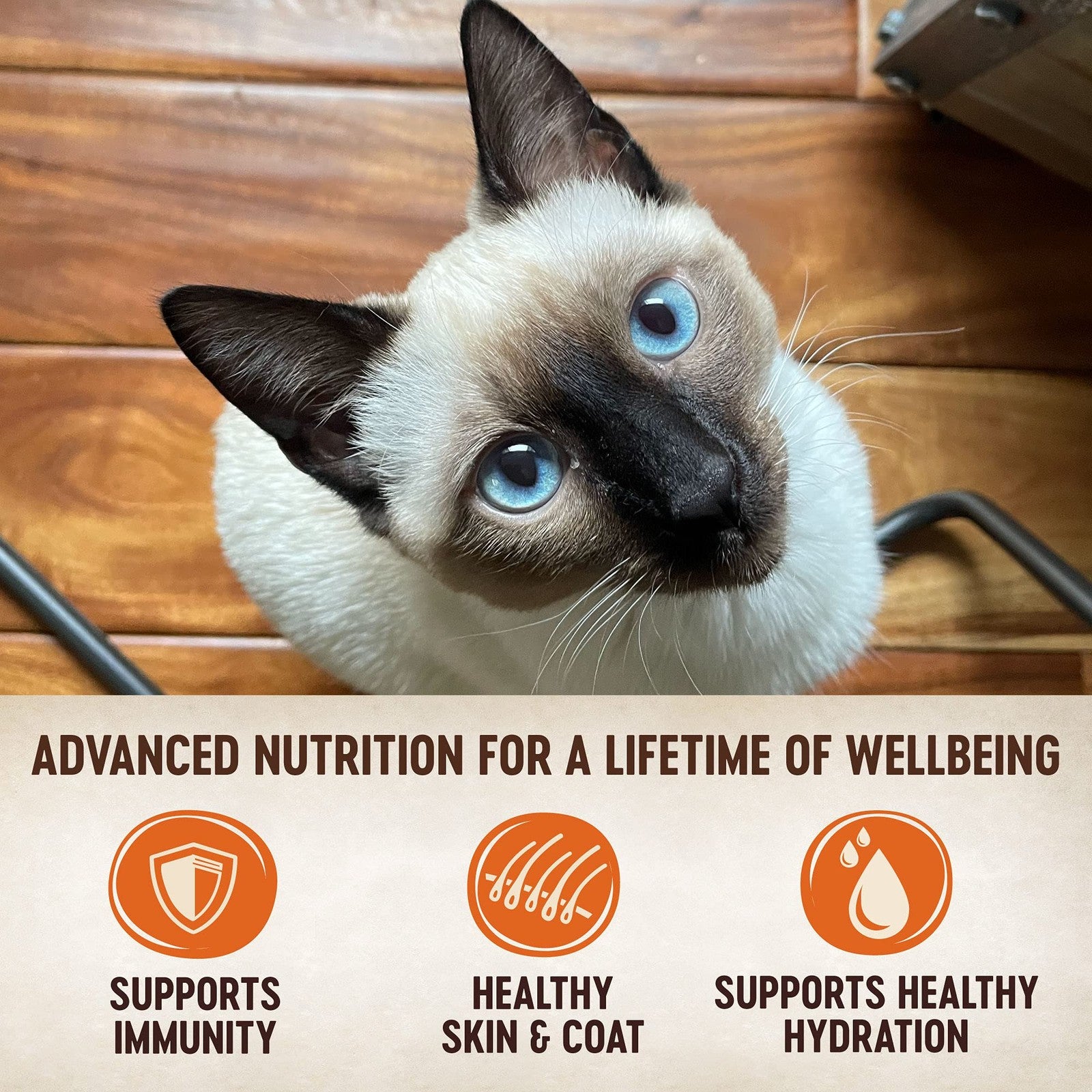 Wellness CORE Tiny Tasters wet cat food pate seafood and poultry variety pack, includes multiple small cans with colorful labels.