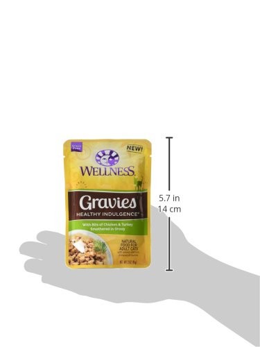 Wellness Healthy Indulgence grain-free wet cat food with savory gravies and pâté in a bowl, featuring natural ingredients for cats.
