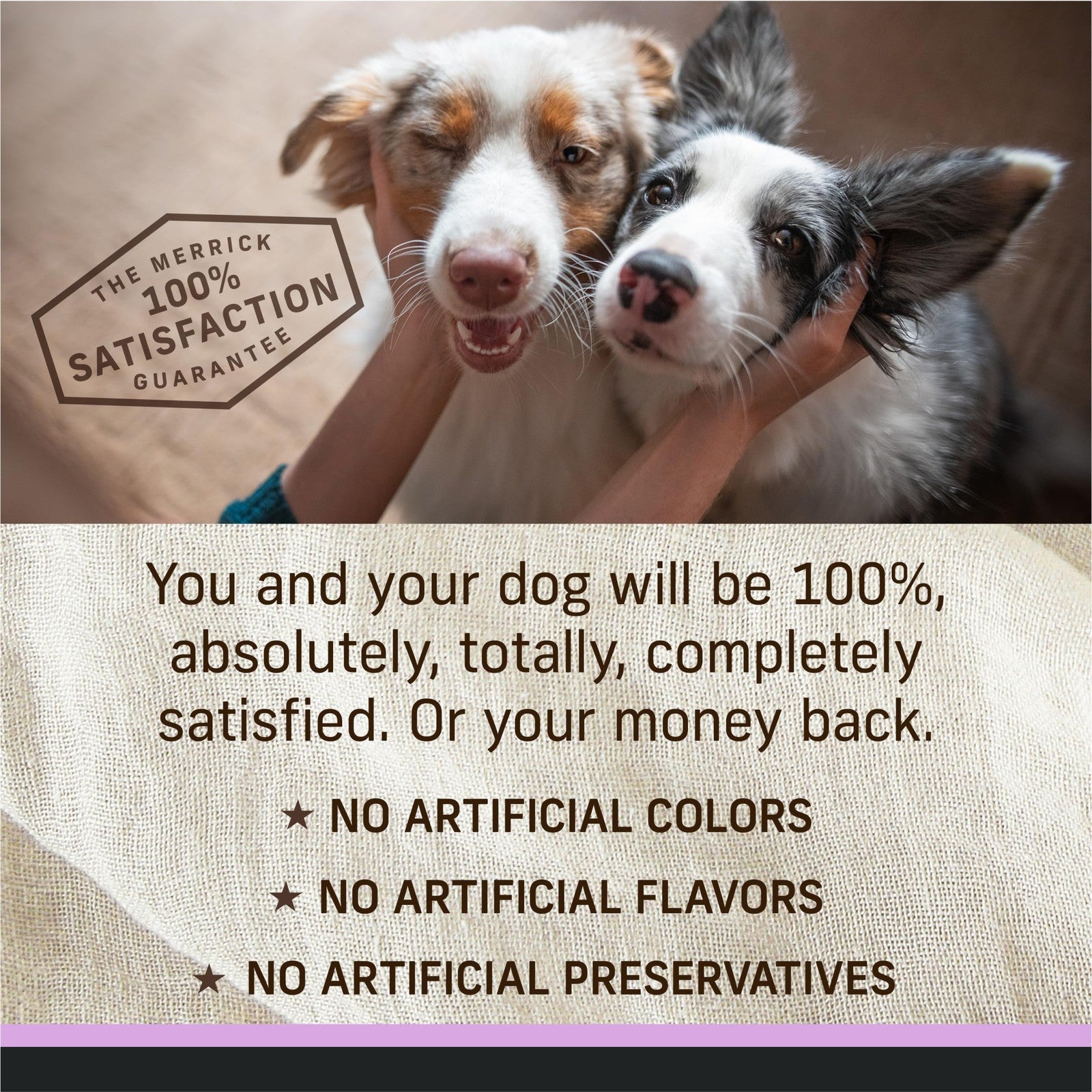 Canned Merrick Limited Ingredient Diet Premium dog food with healthy grains, featuring a natural, nutritious wet food formula in a metal can