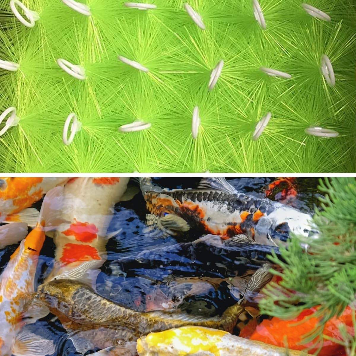 RINOO 10 pack green PET fish pond filter brushes for koi pond aquarium filtration, 16-inch length each